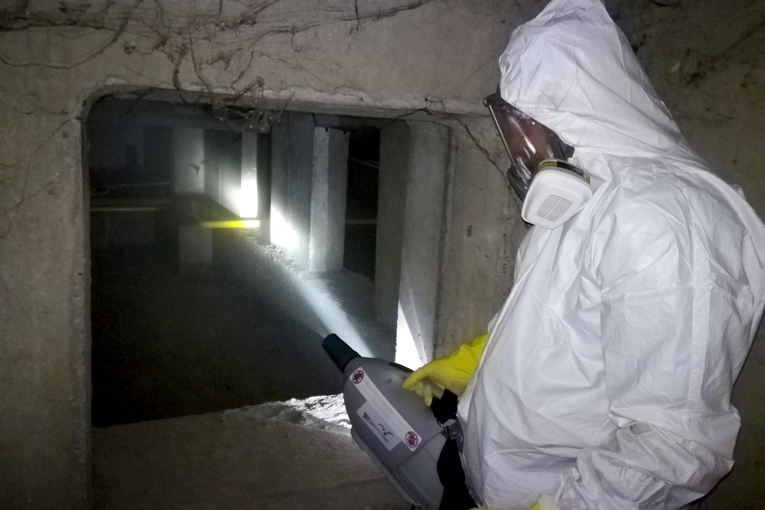 Deratizace Rychle Praha