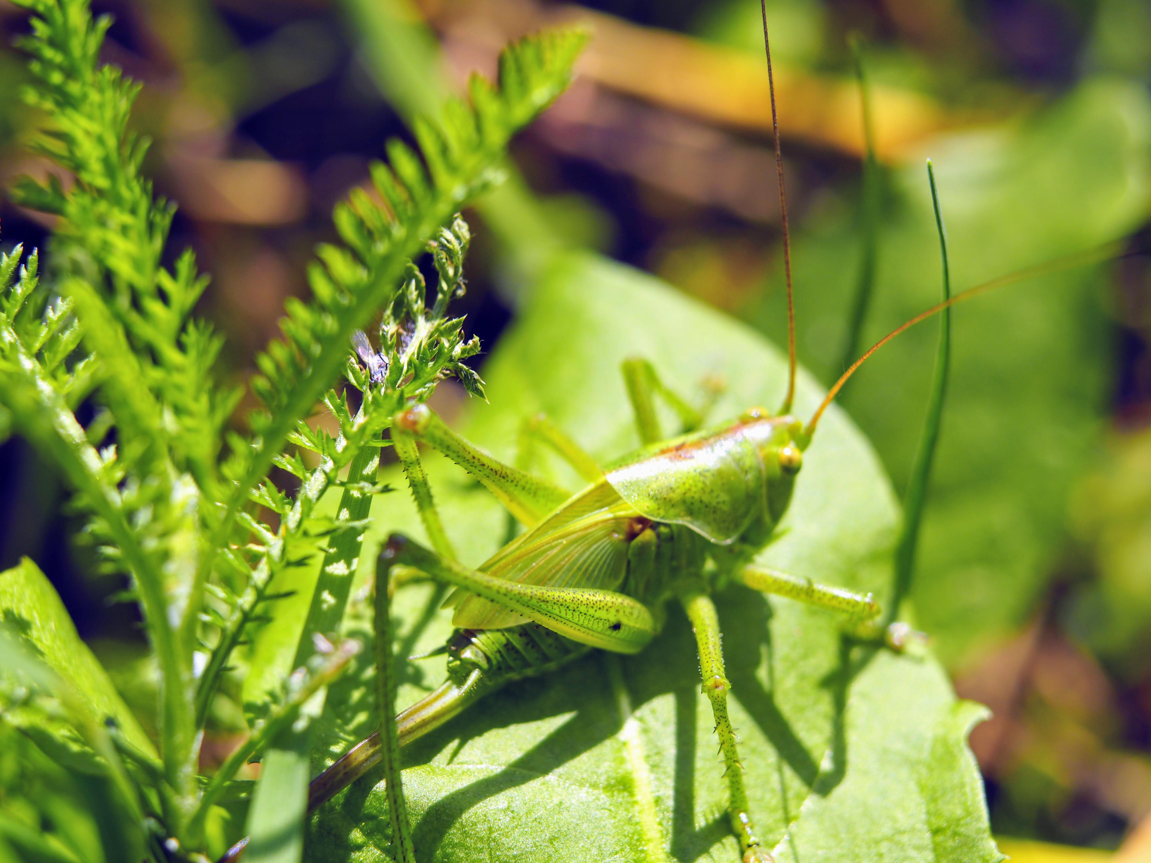 Nad údolím Vláry foto 3