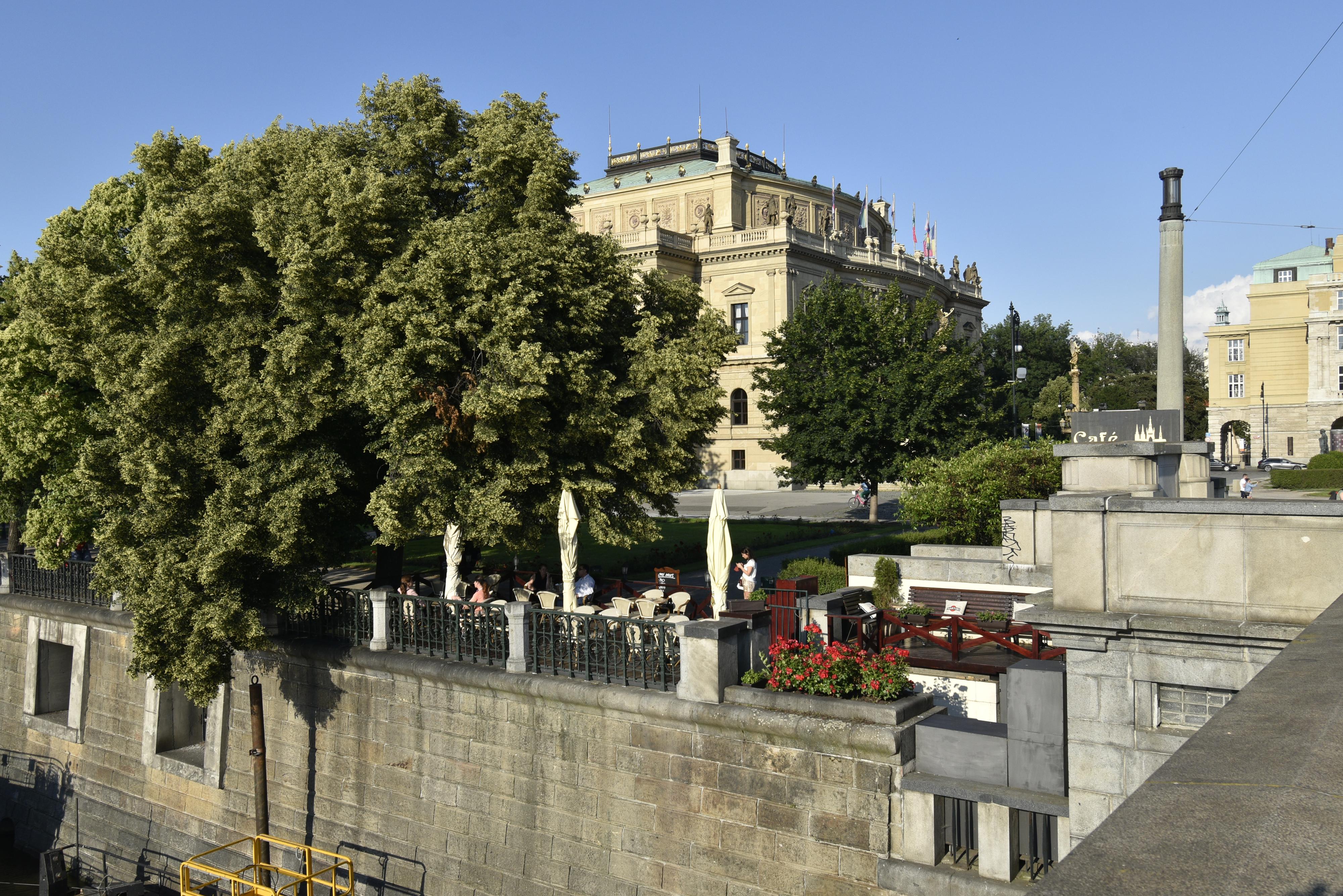 Café Mánes foto 3