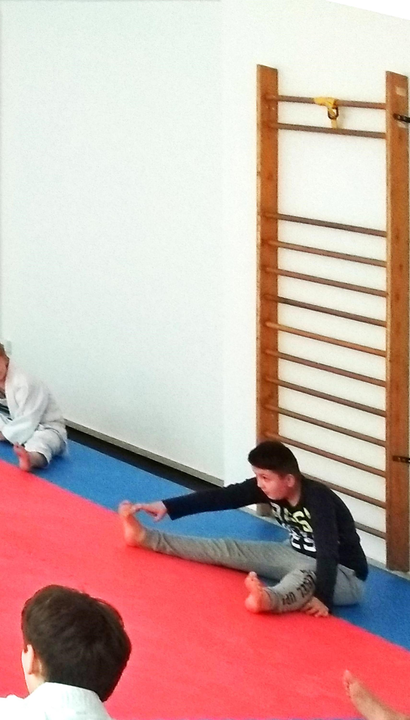ProJudo foto 4