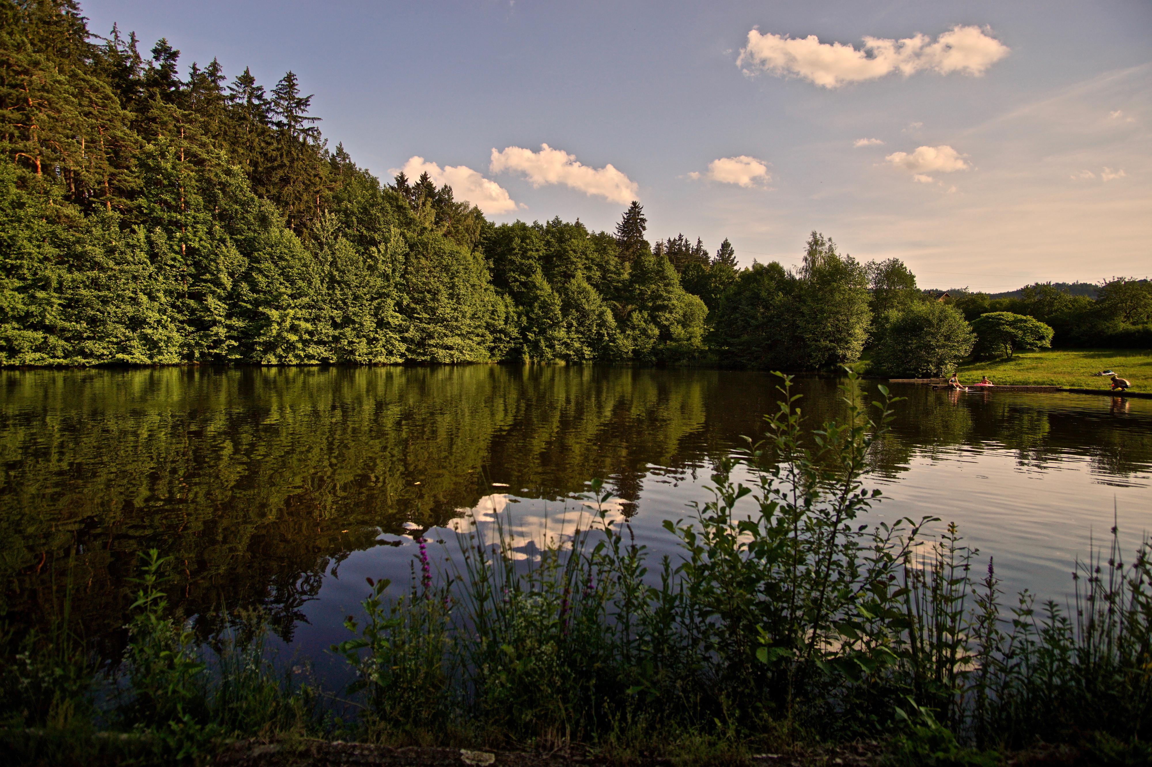 Přírodní koupaliště Medový Újezd foto 3