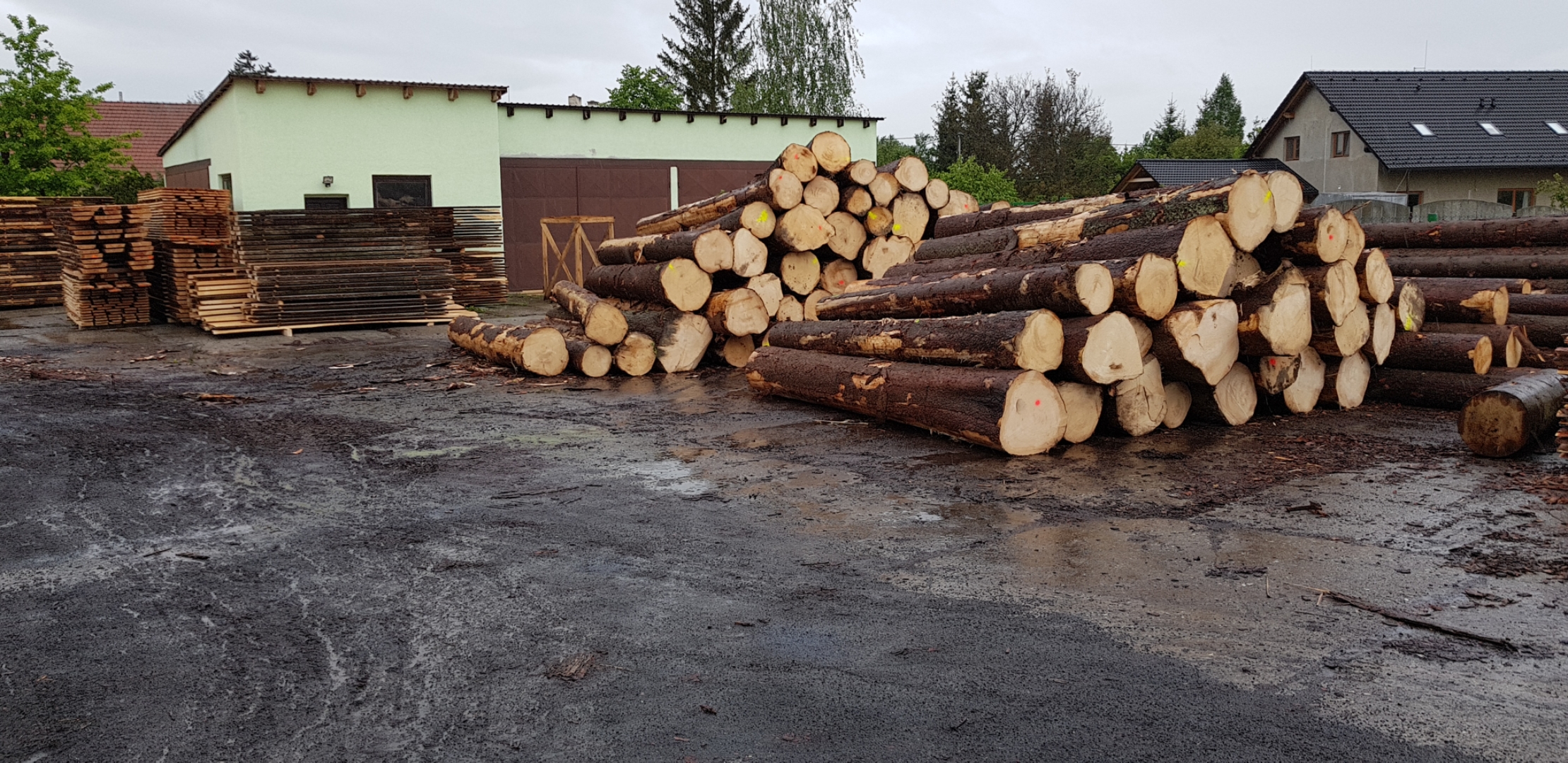 Pila - Jiří Nimrichter foto 2