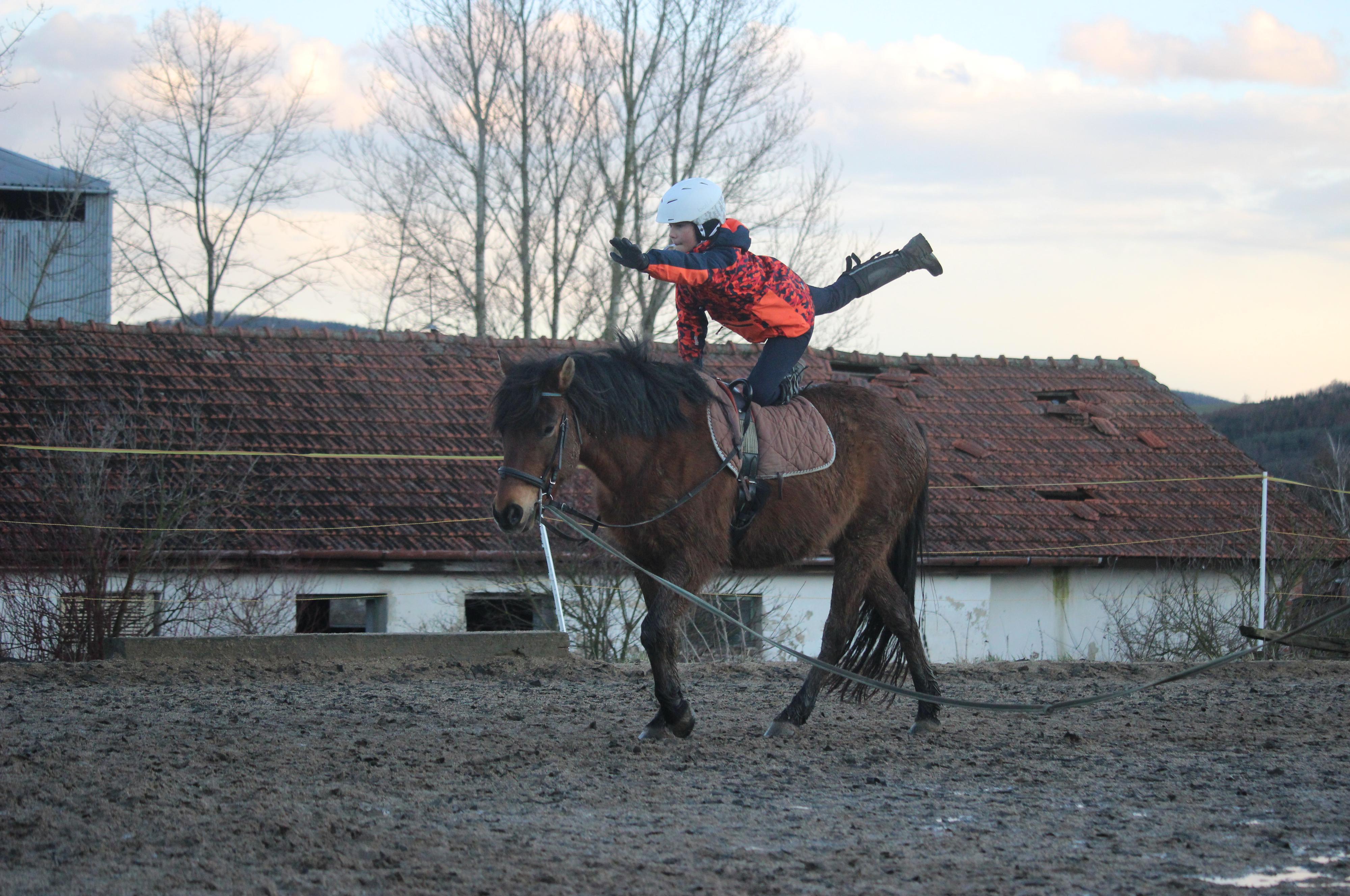 Jezdecká školička DAGRI