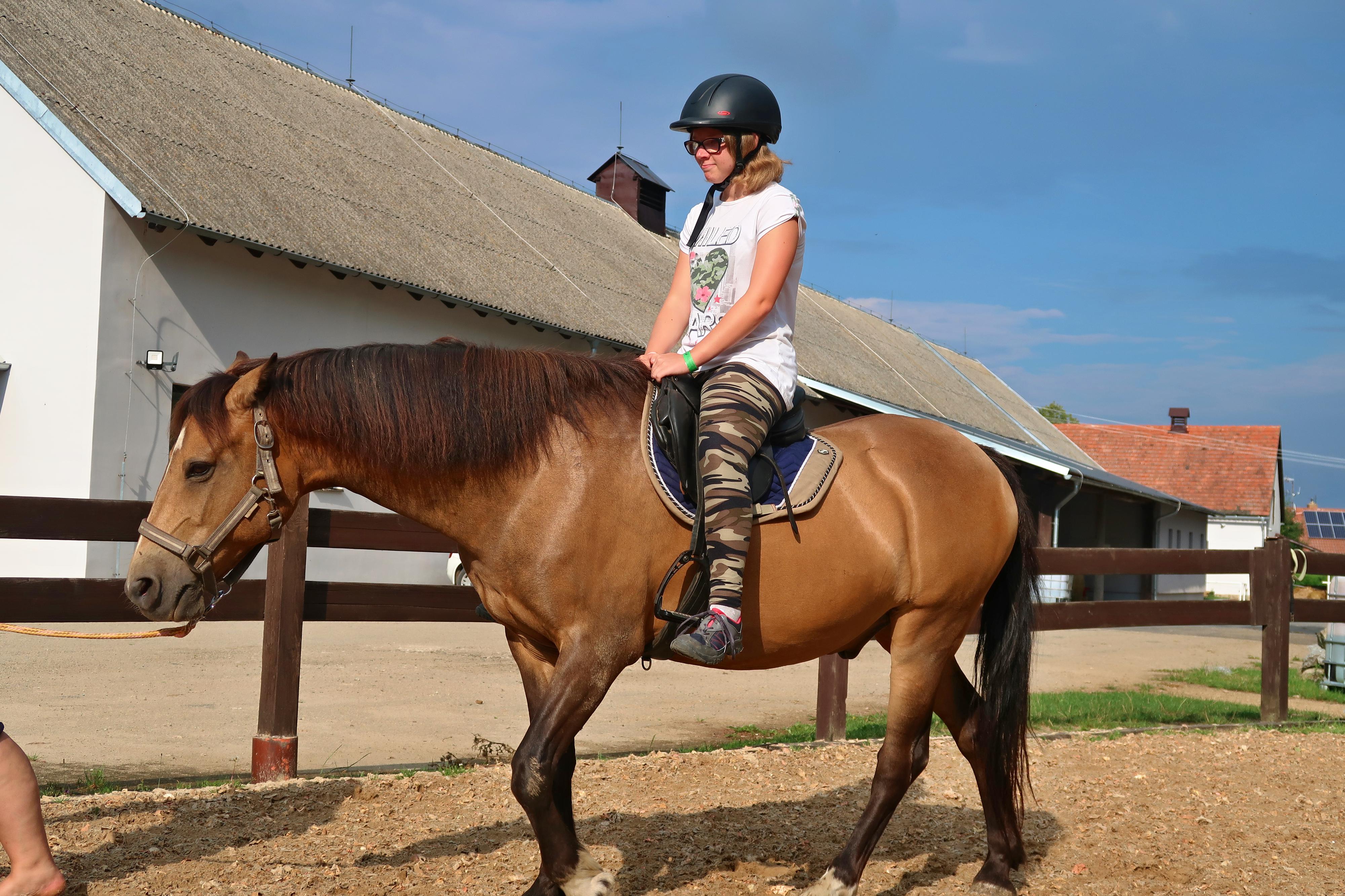 Jezdecký klub Český dvůr foto 6