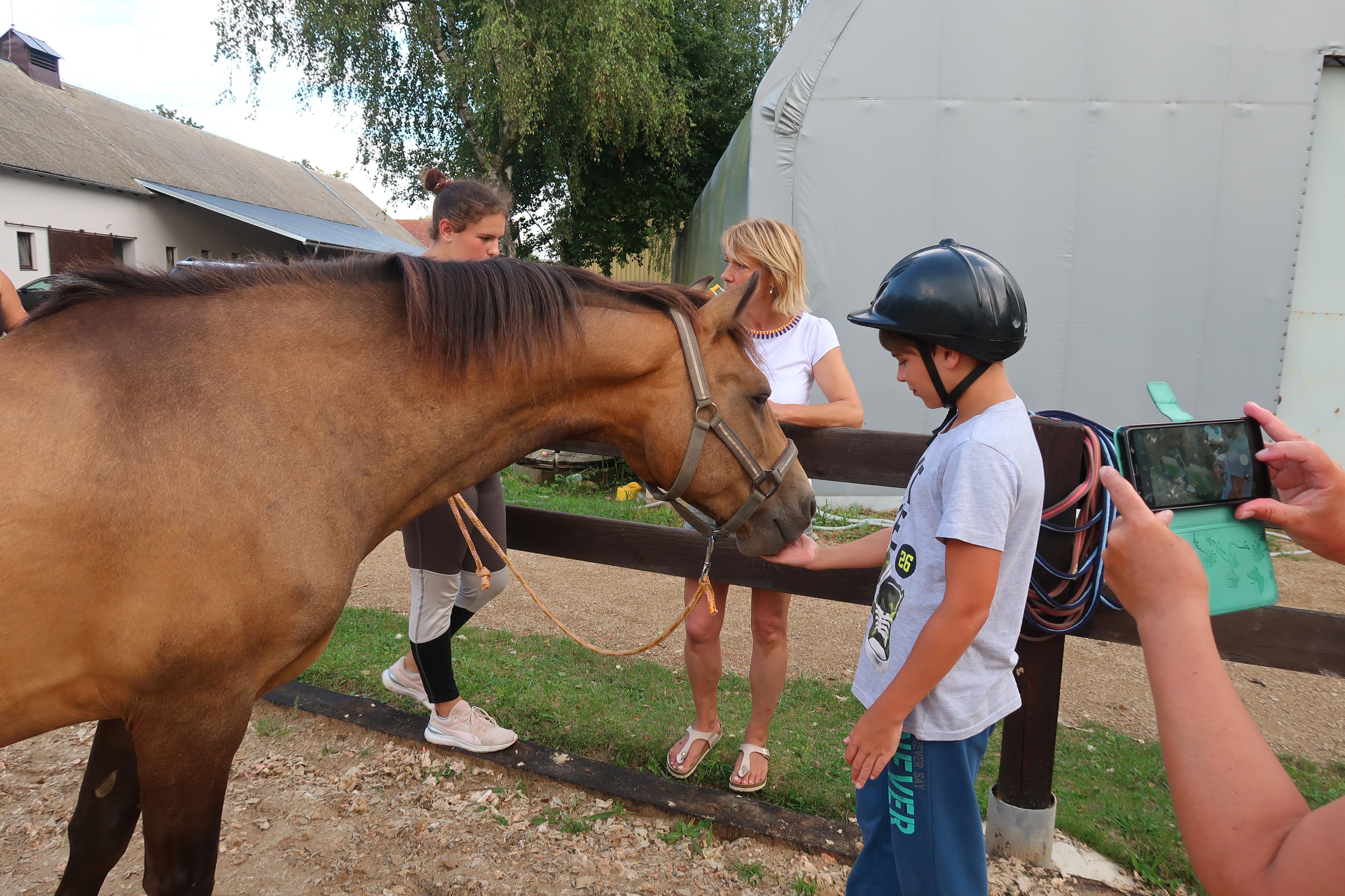 Jezdecký klub Český dvůr foto 5