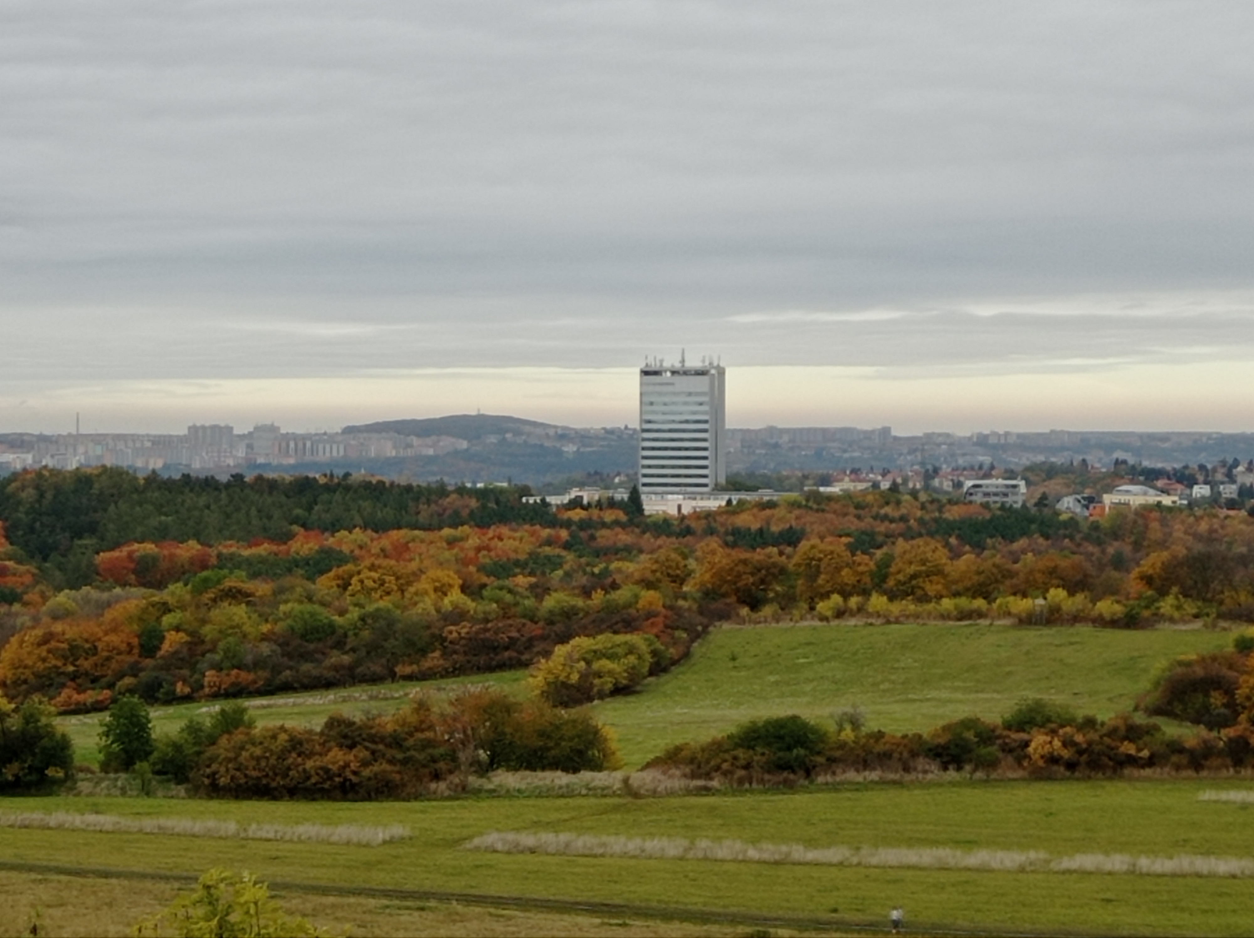 Shiran Tower foto 3