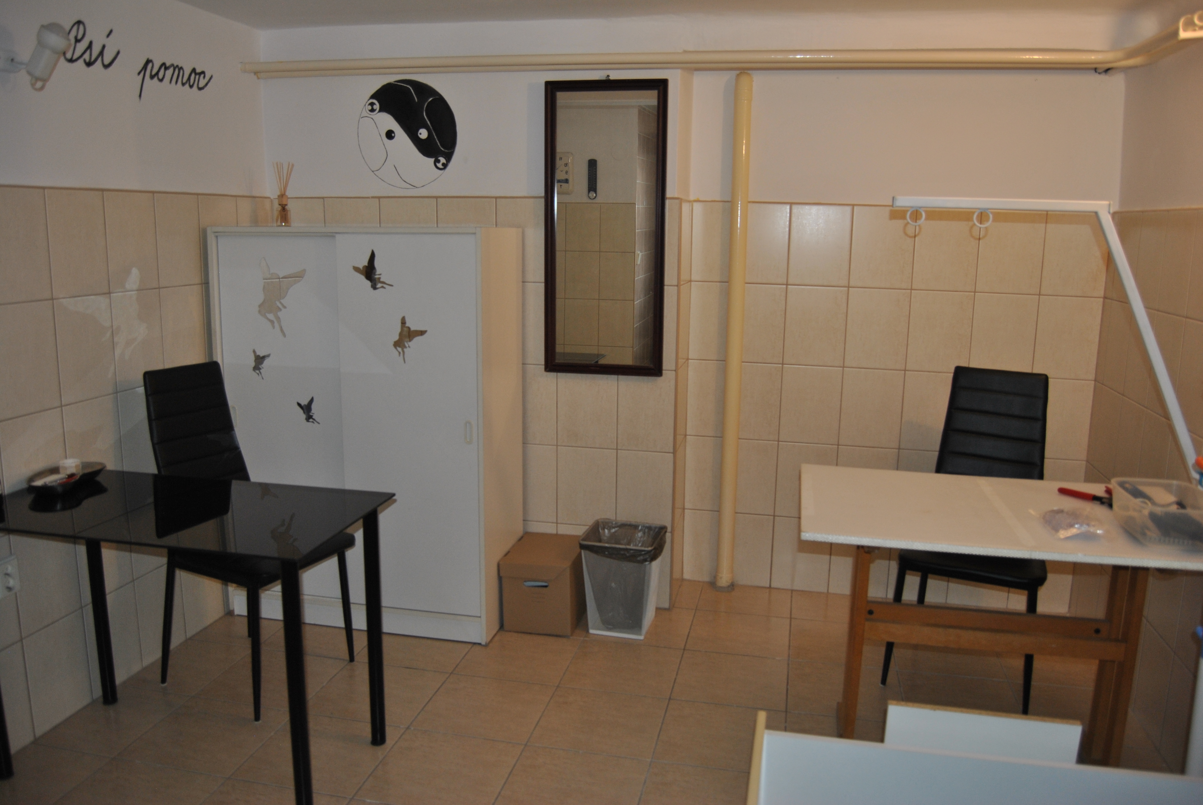 Filip Bačík - Psí pomoc foto 2