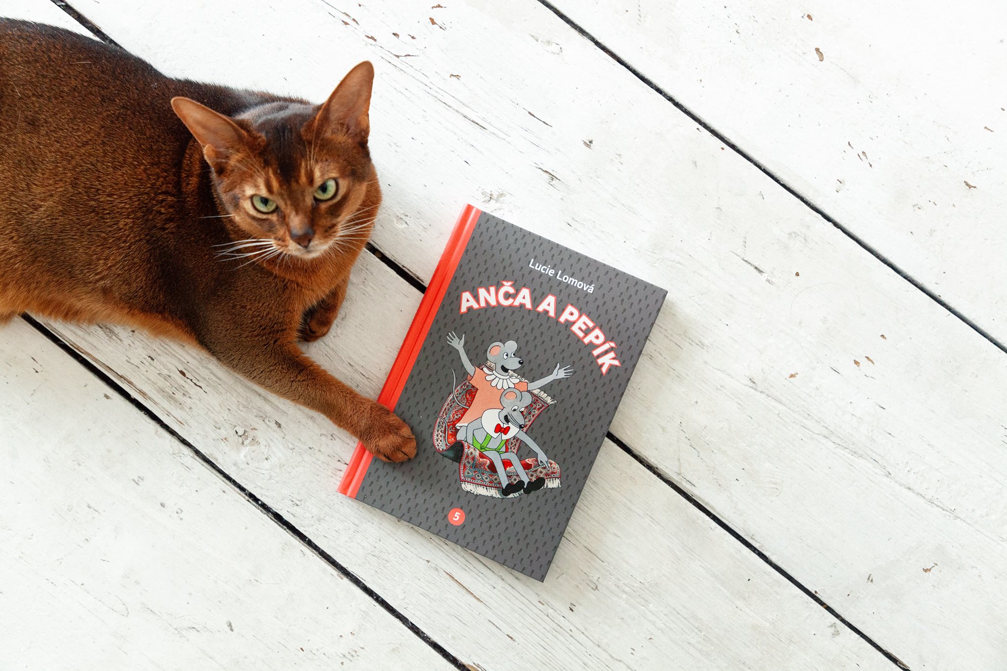 Nakladatelství Práh s.r.o. foto 3