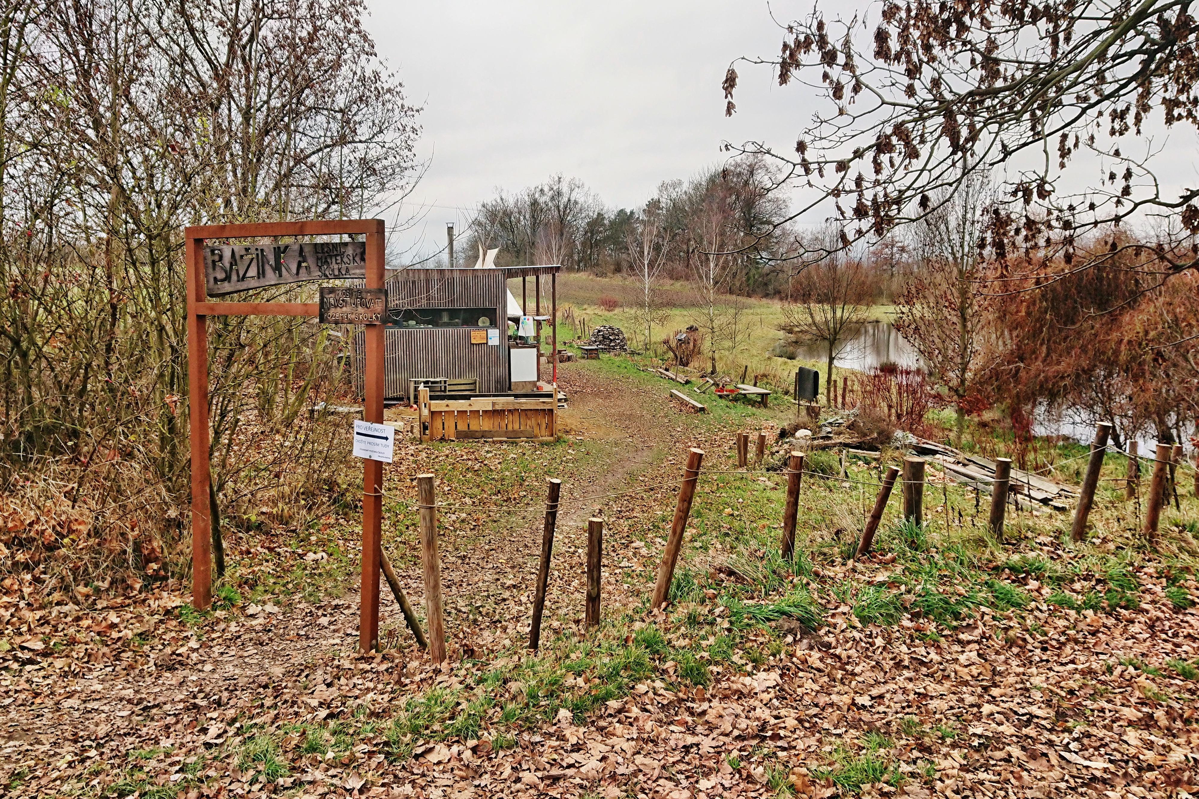 Lesní mateřská škola Bažinka foto 6