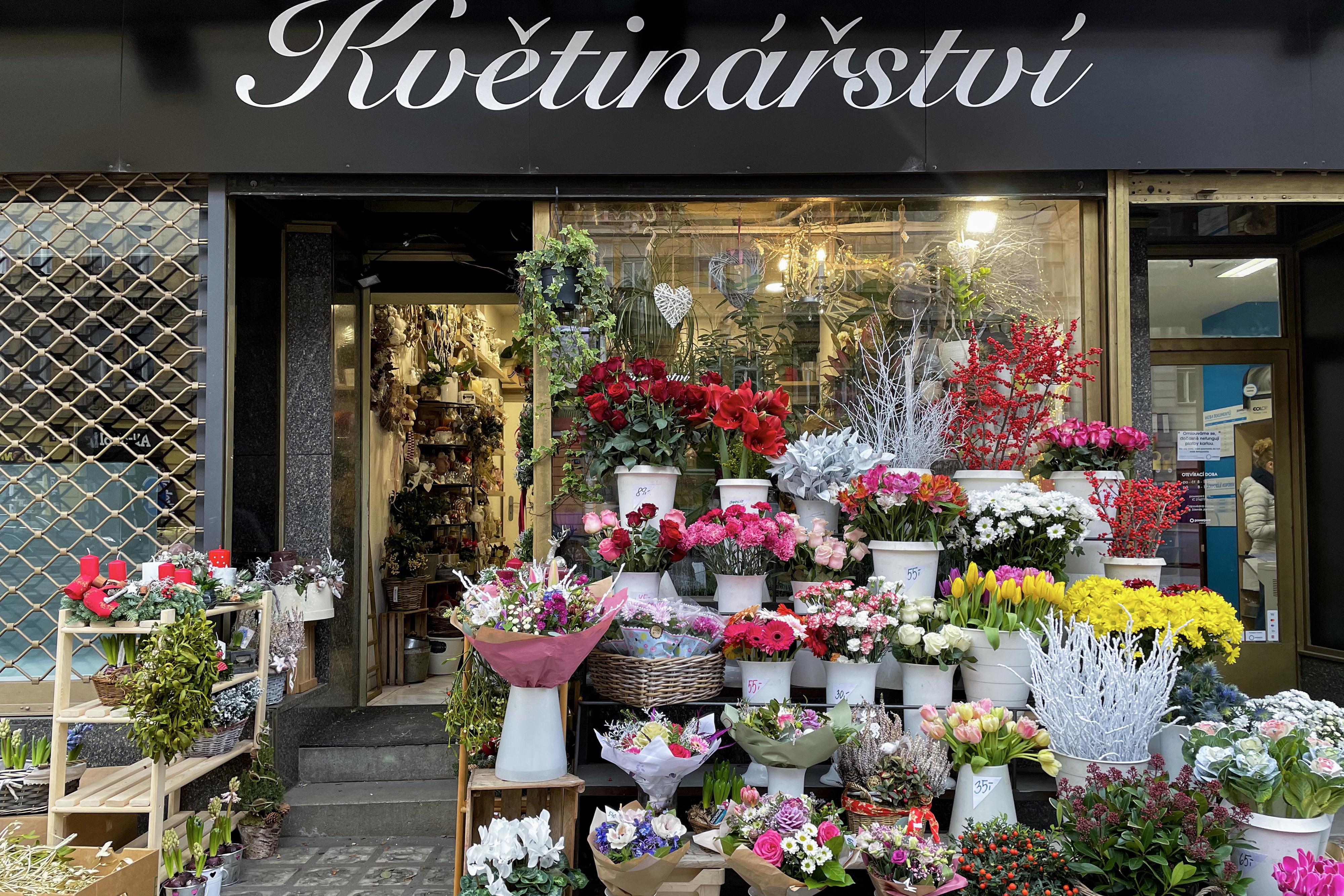 Esence života foto 1