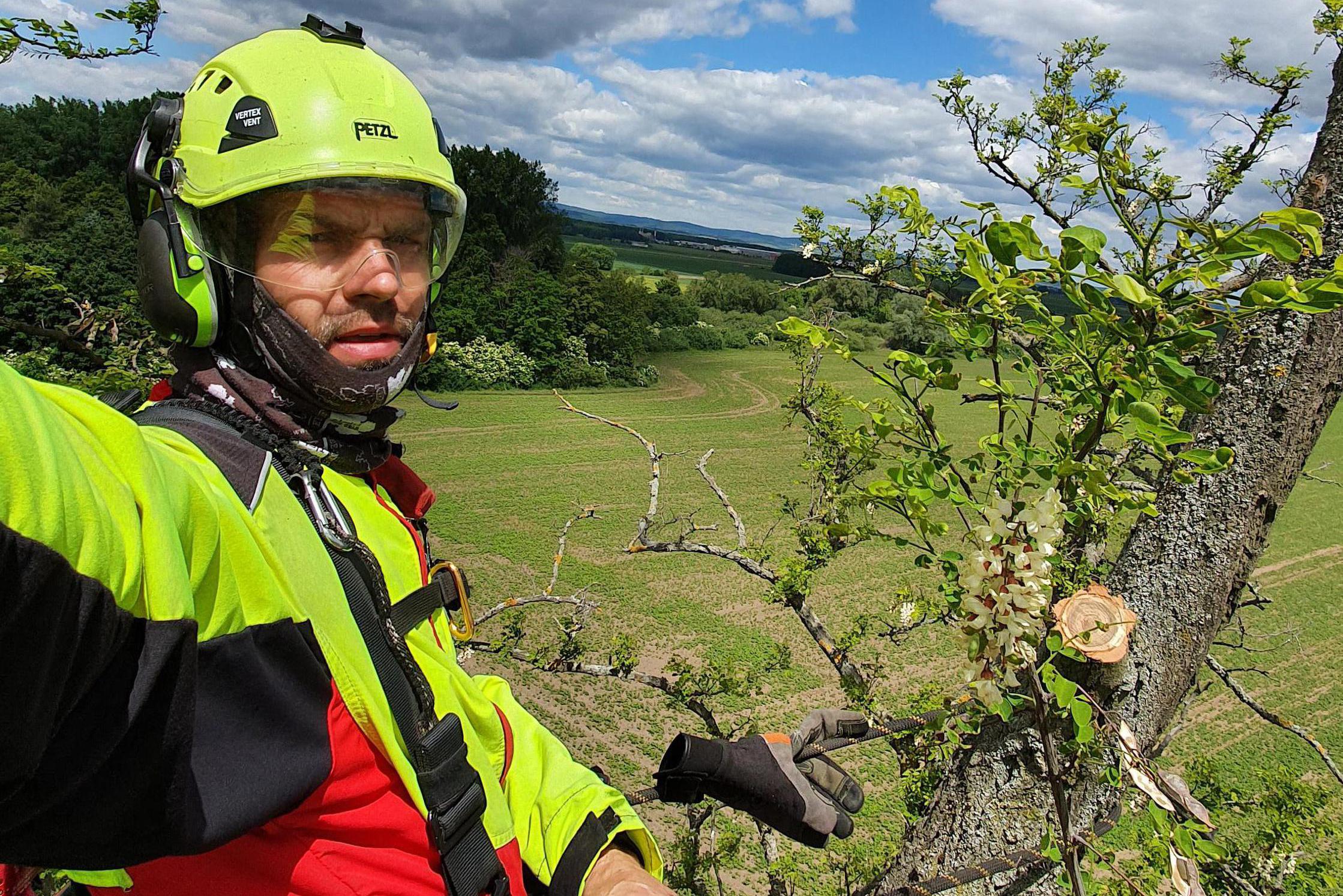 Rizikové kácení a prořez stromů