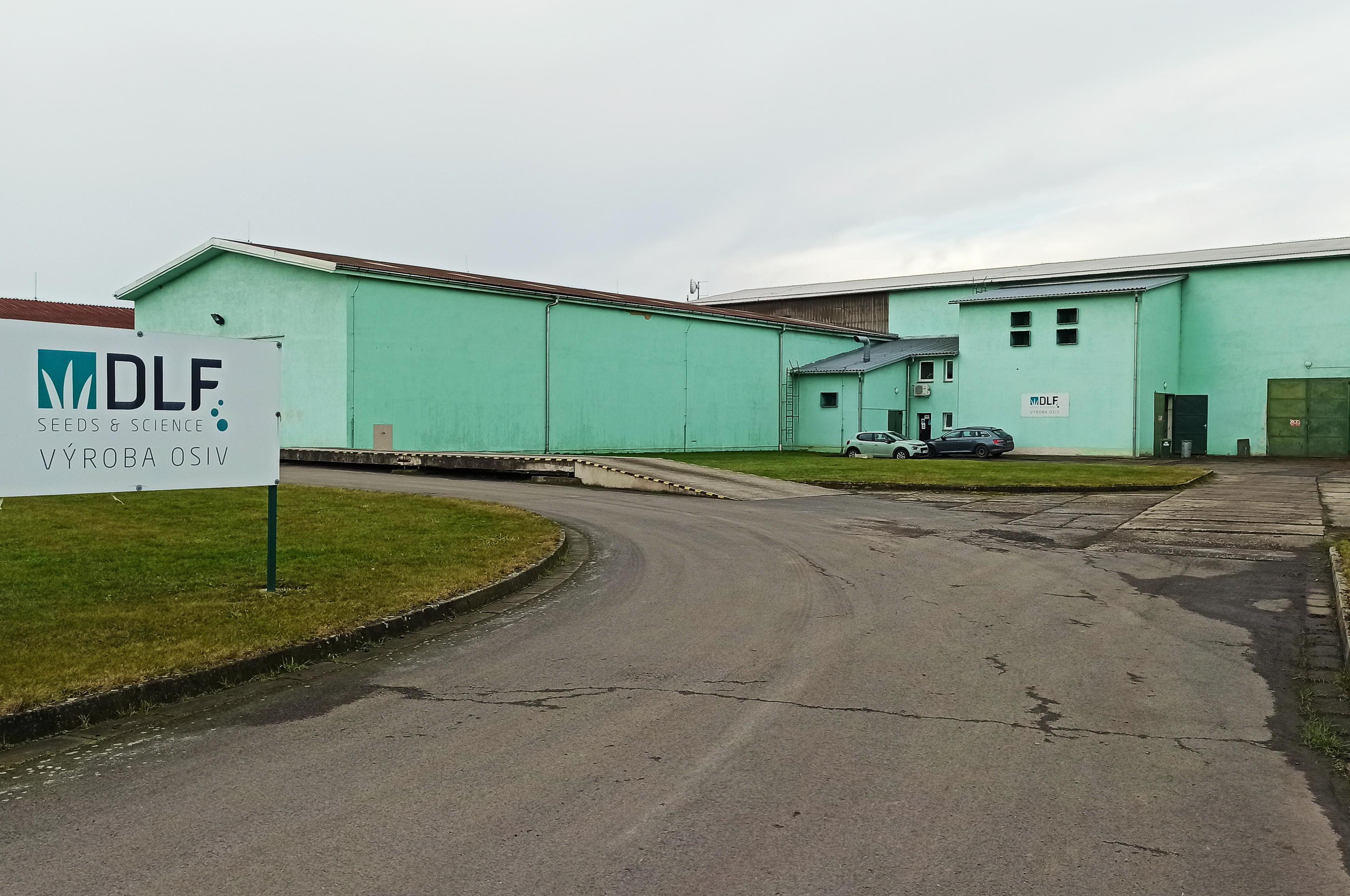 Prodej osiv DLF Seeds s.r.o.