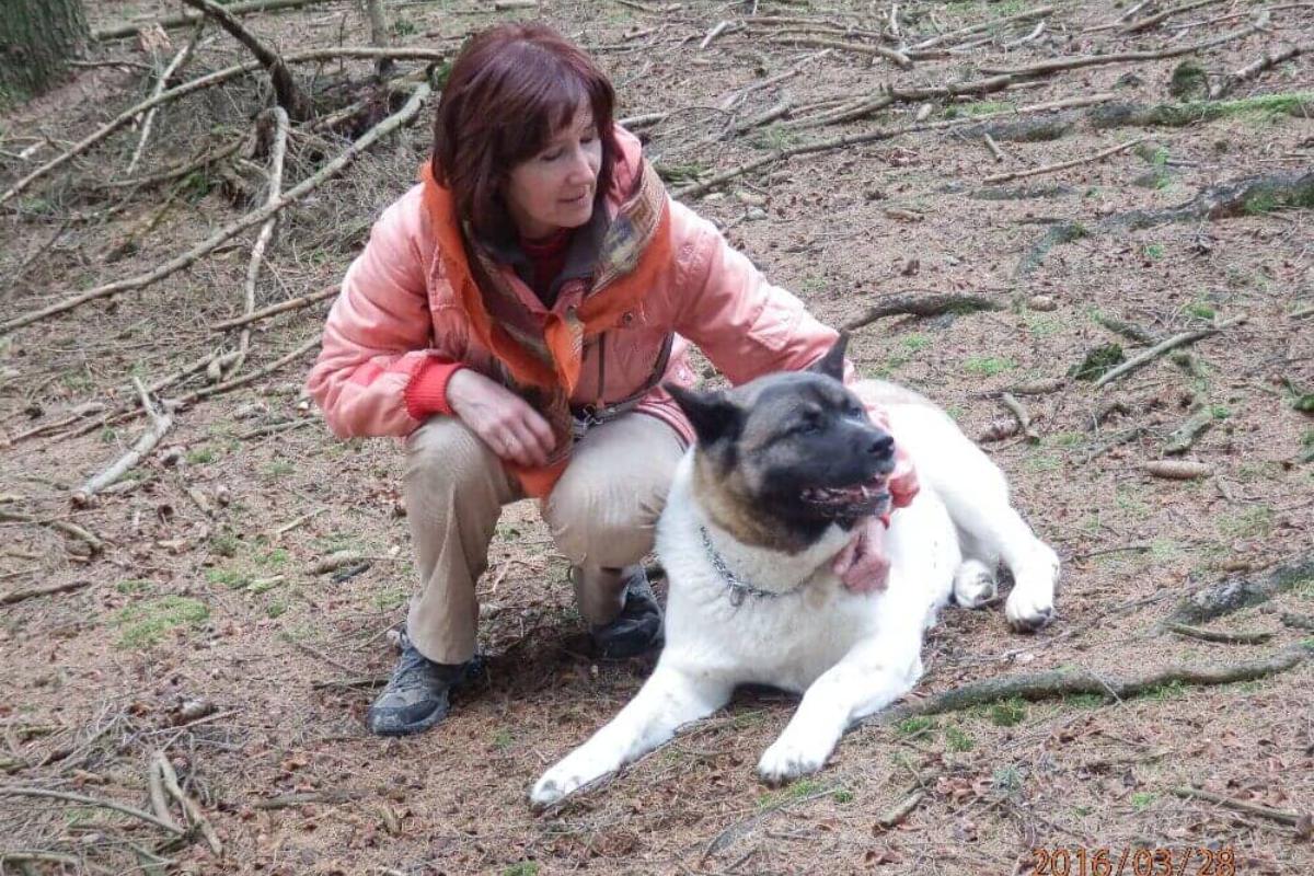 AKITA Veterinární ordinace Lanškroun - MVDr. Marta Šilarová