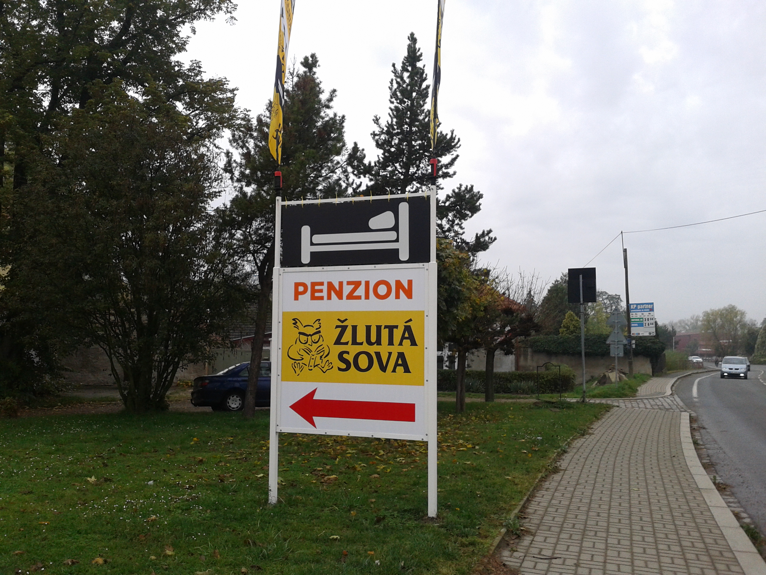 ŽLUTÁ SOVA foto 3