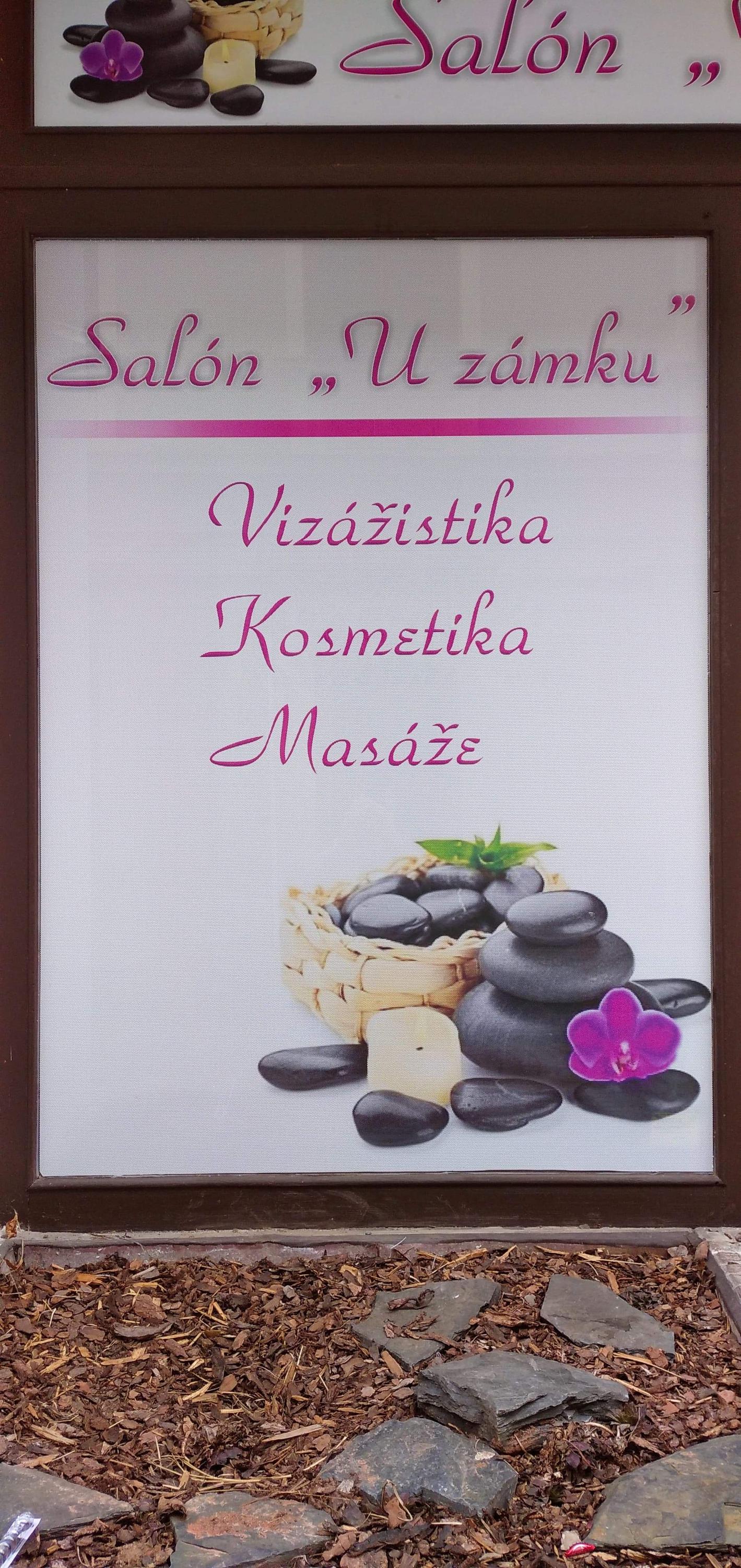 Salón u zámku foto 3