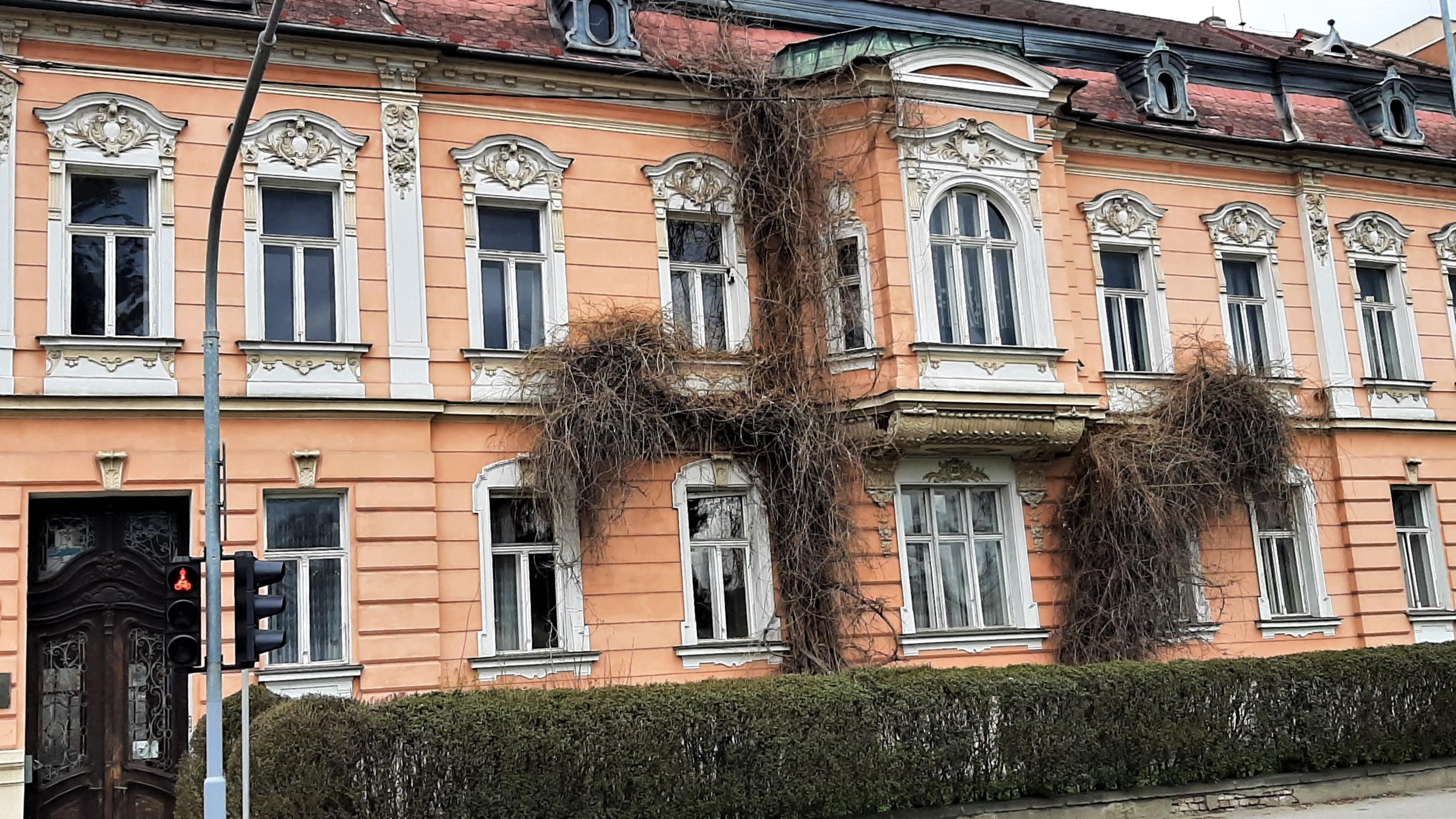 Církev Ježíše Krista Svatých posledních dnů v České republice foto 4