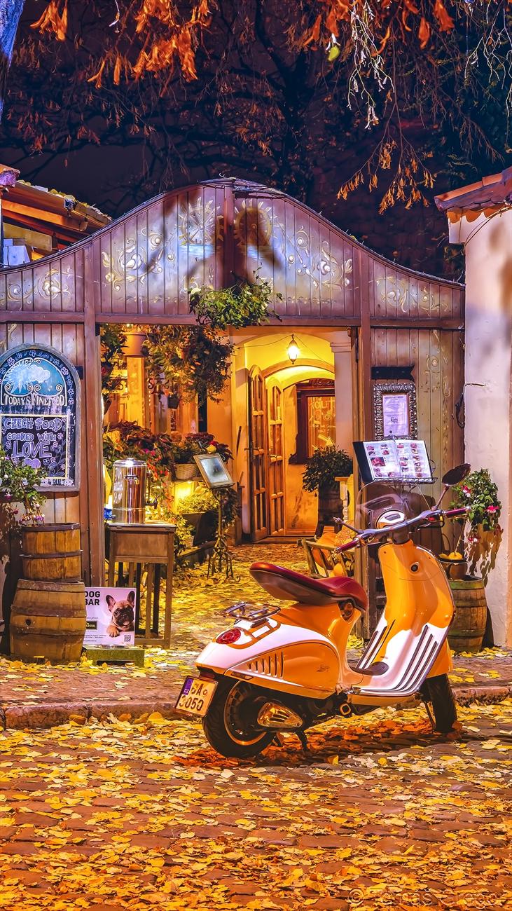 Restaurace Velkopřevorský mlýn foto 3