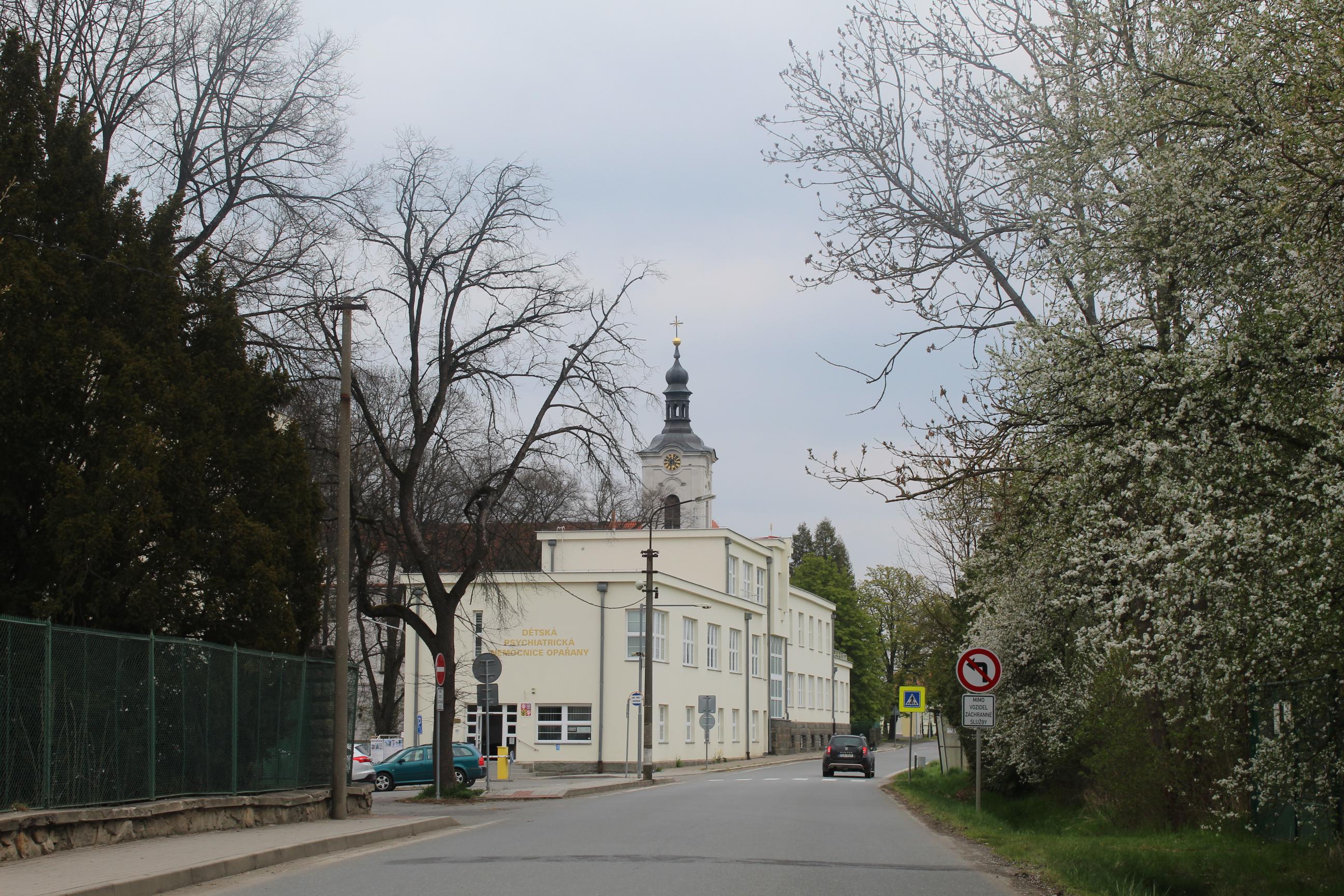 Dětská psychiatrická nemocnice Opařany foto 4