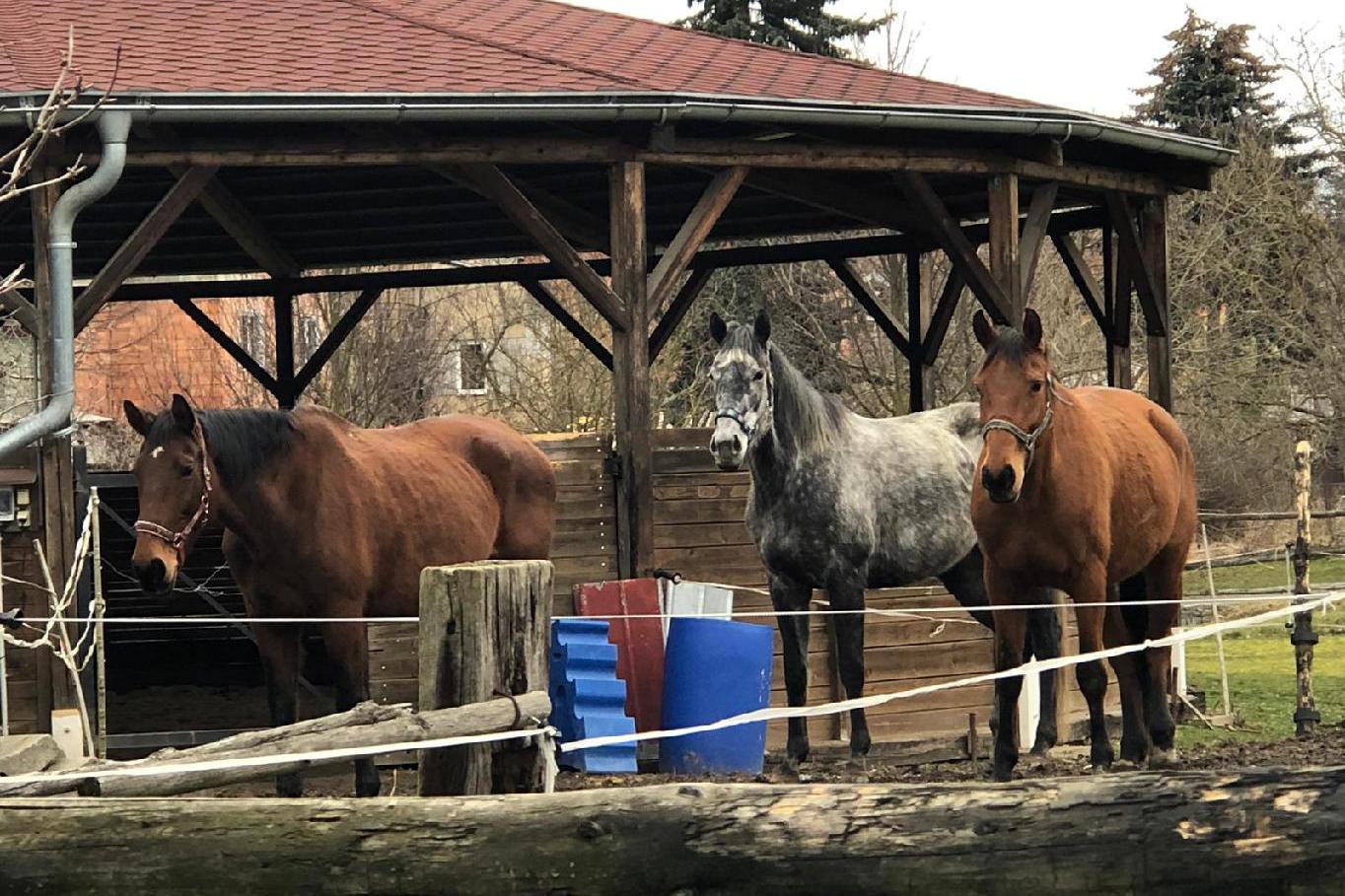 Jezdecký klub Říčany