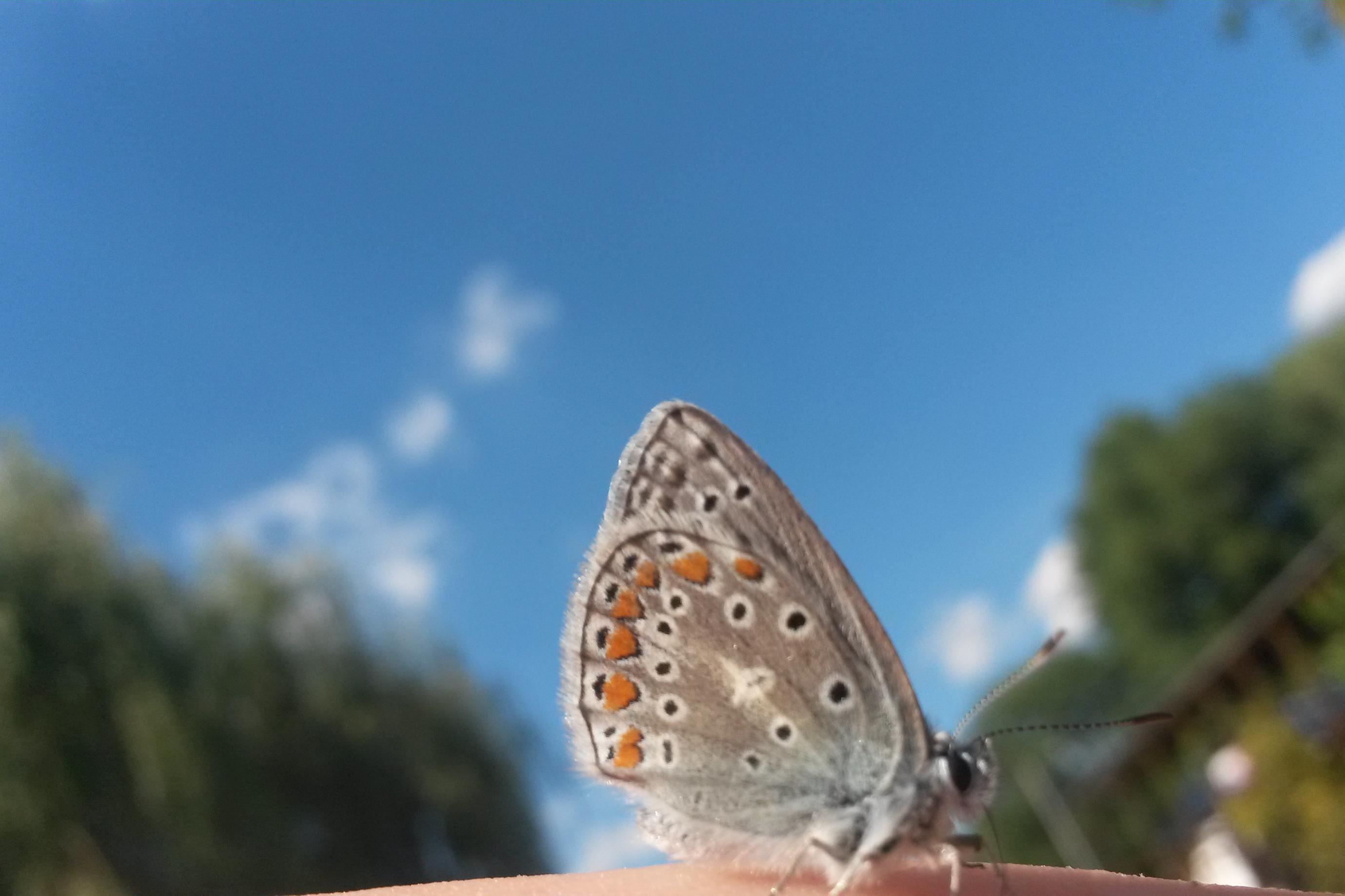 Pomohu jak ustát nevěru a jak ji řešit!