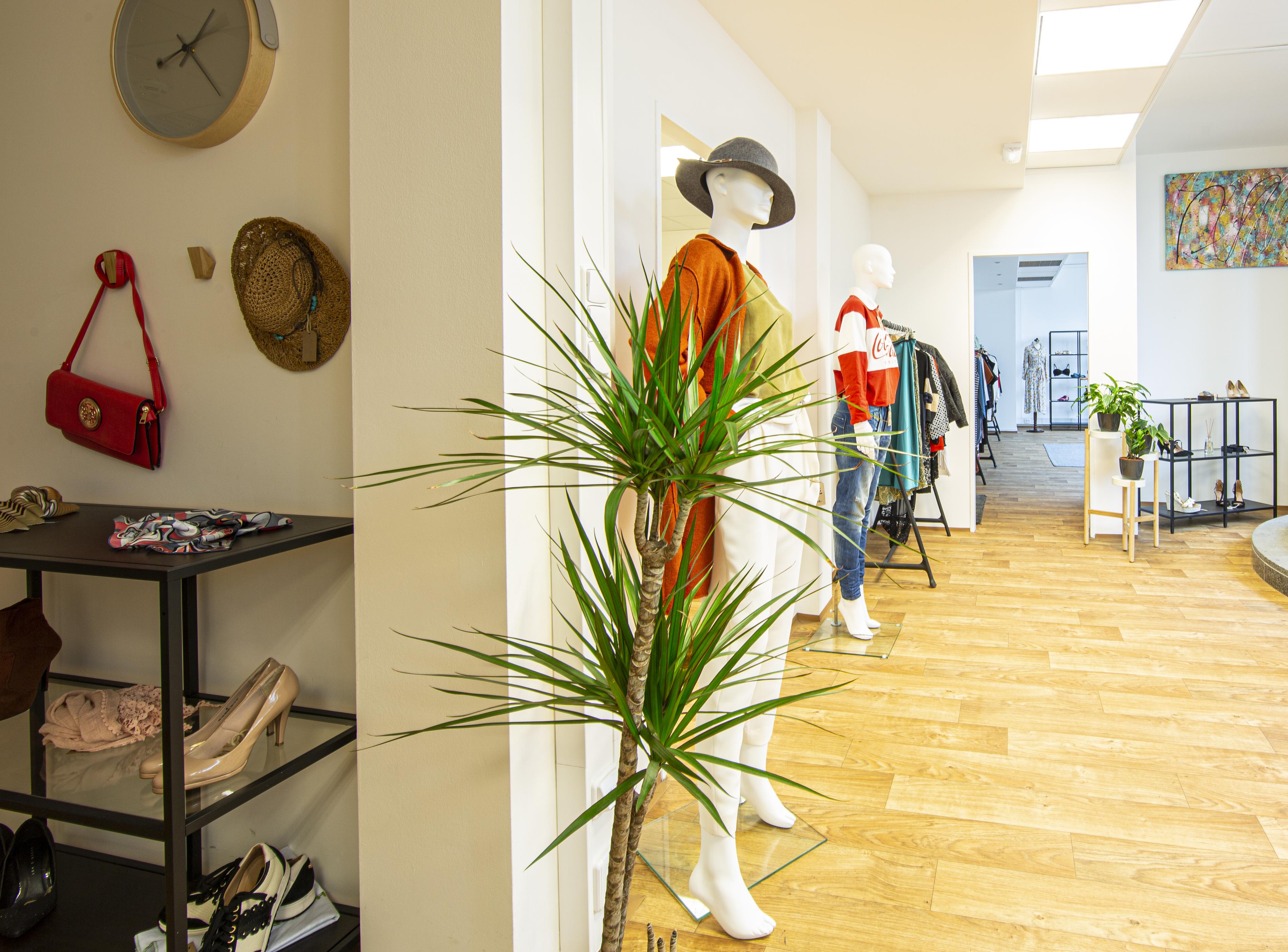 Klubsvobodnychmatek.cz foto 2