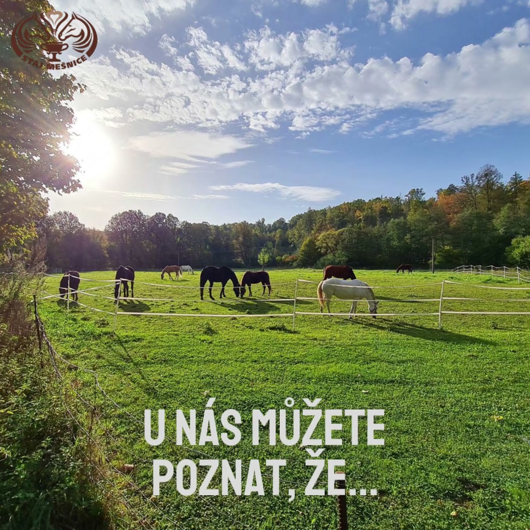 Stáj Mešnice foto 2 (náhled videa)