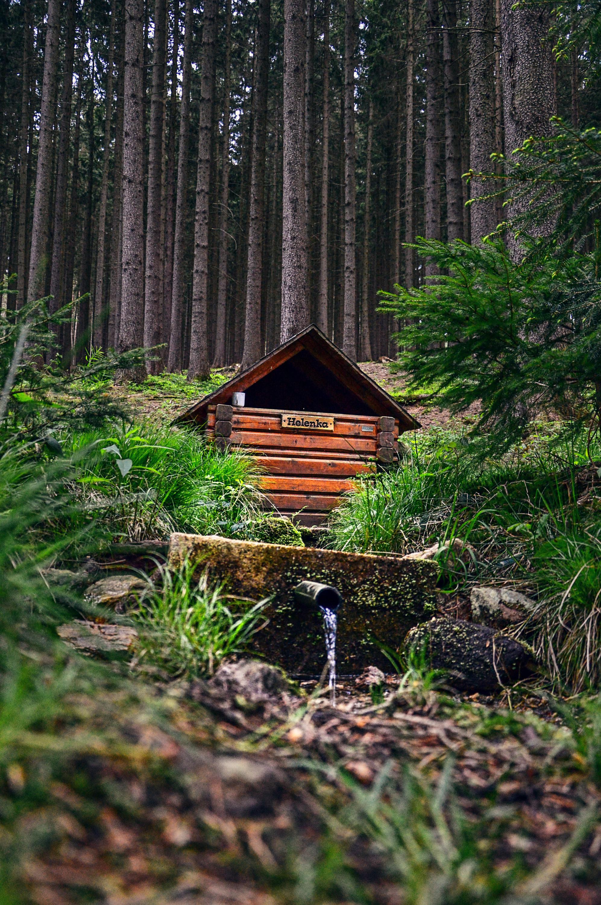 Lesní bar u víly Helenky foto 4