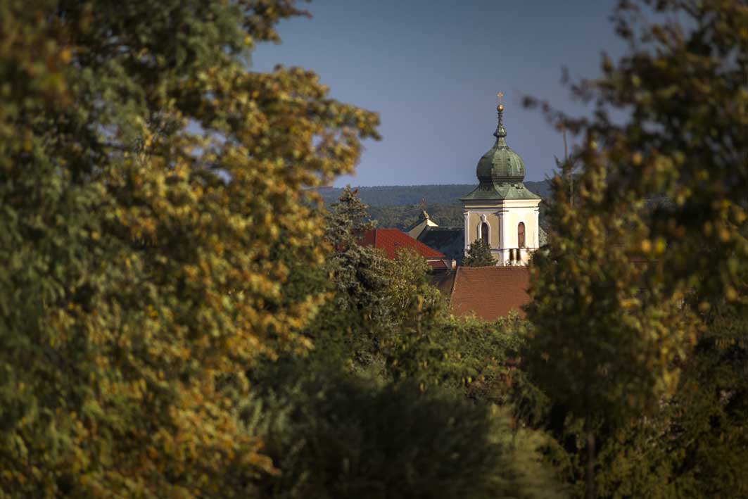 Městský úřad Holice foto 4