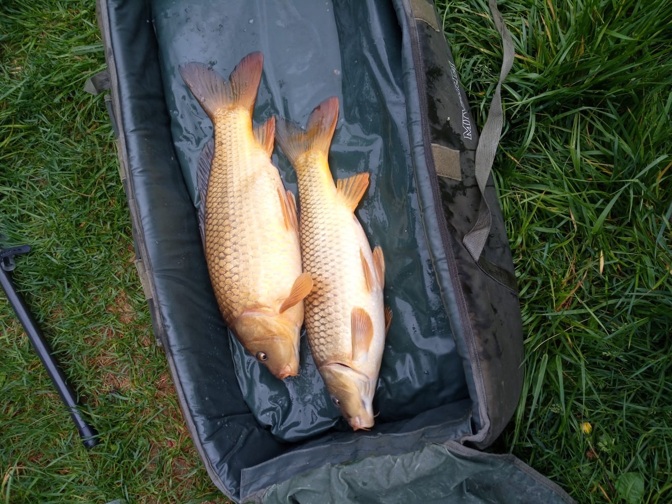 Blechovy rybníky foto 5