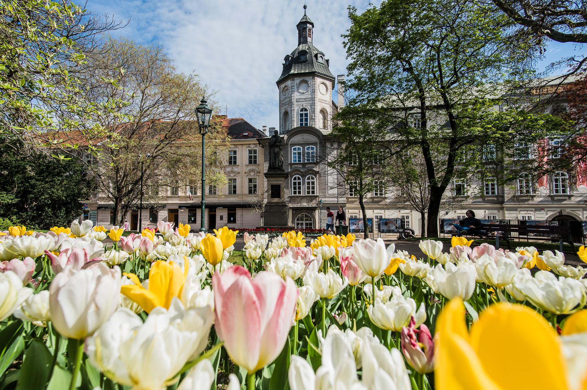 Studijní a vědecká knihovna Plzeňského kraje