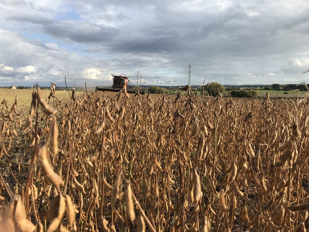 Prograin ZIA, s.r.o.