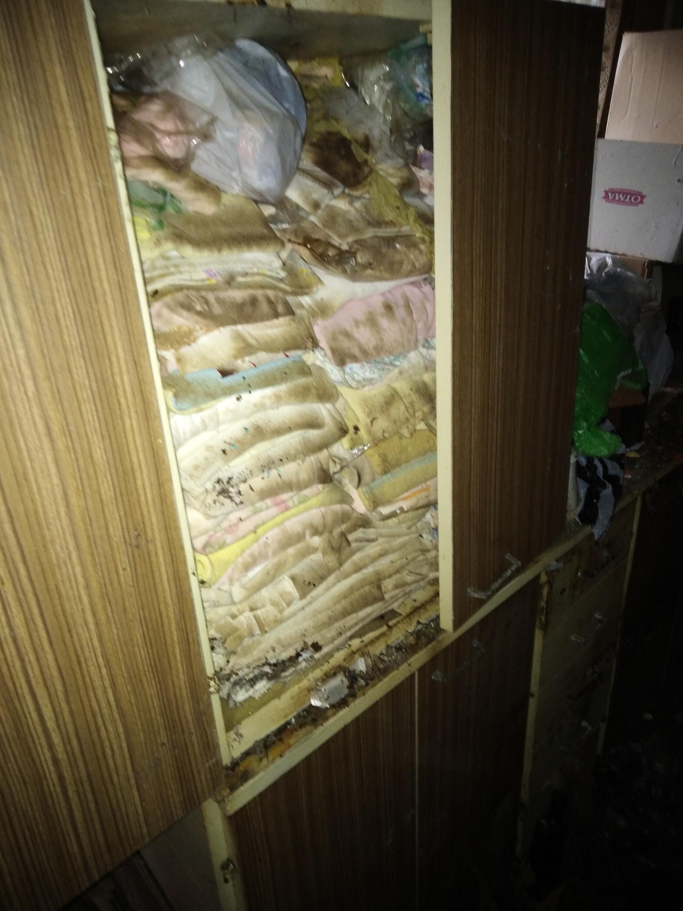 Vyklizeciservis.cz foto 4