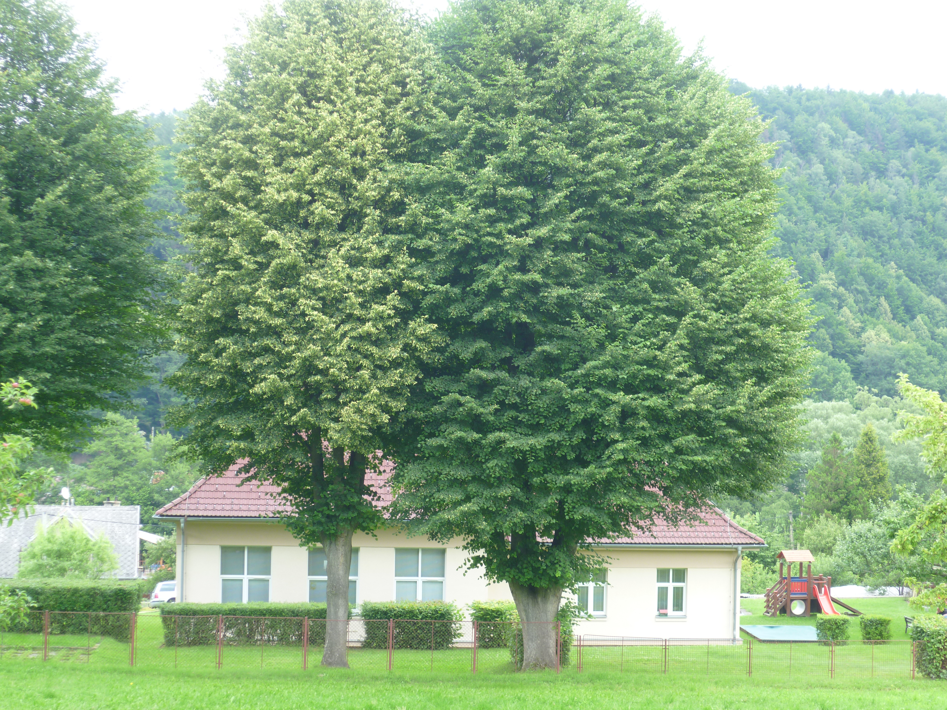 Mateřská škola Ústí nad Orlicí, Černovír 96 foto 3