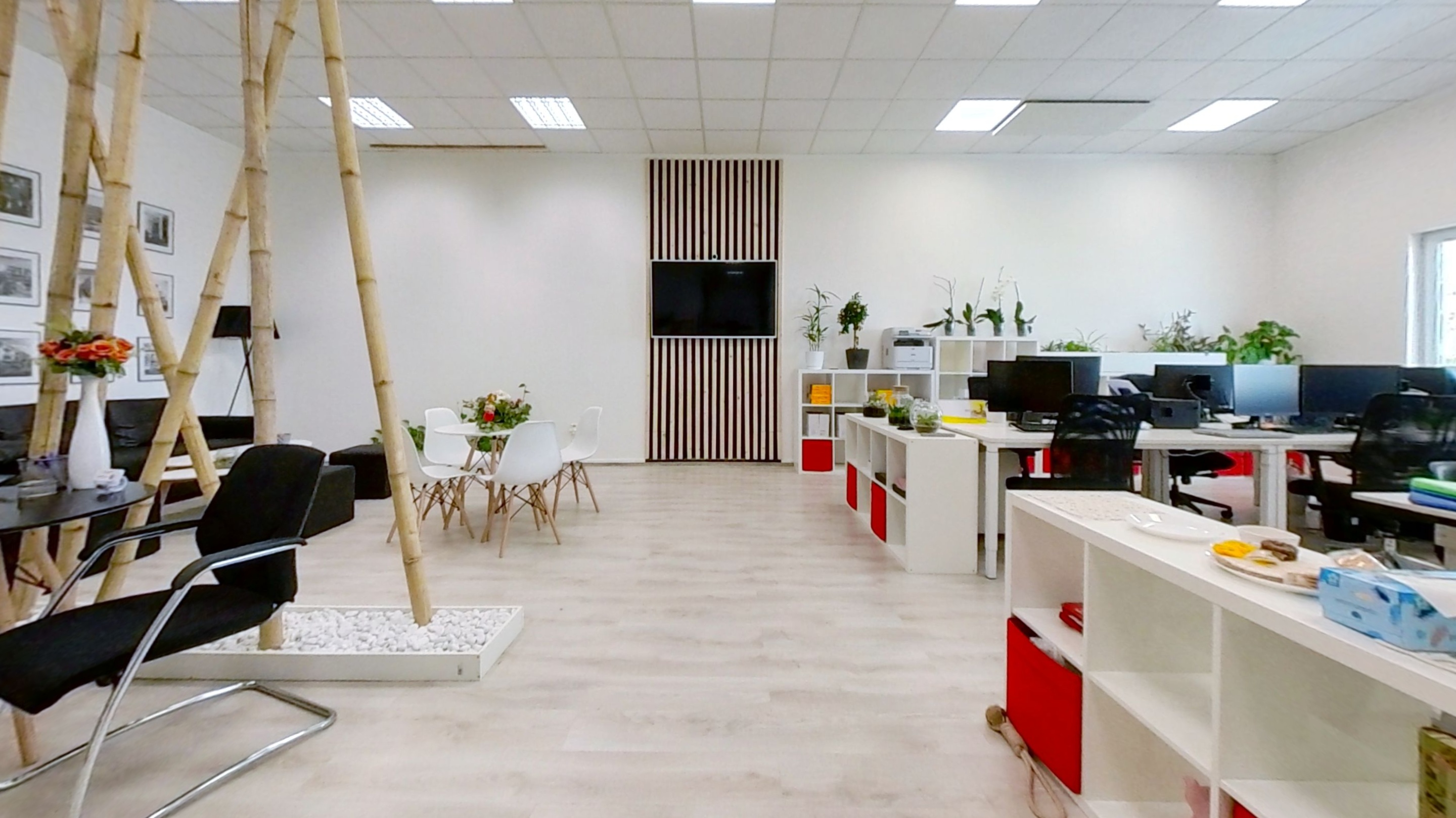 Elefant finance group s.r.o. foto 3