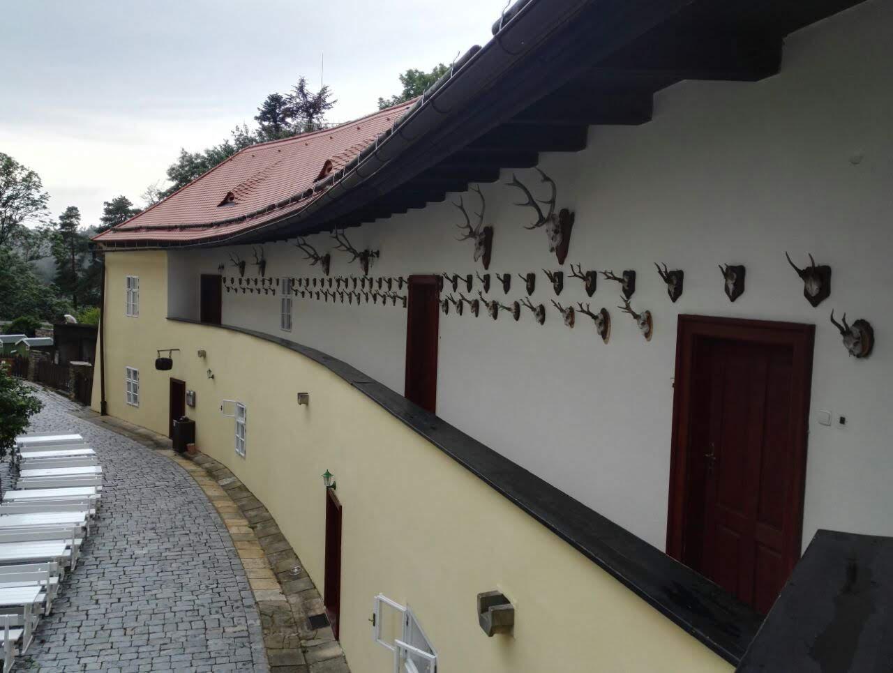 Ubytování Hrad Svojanov foto 3