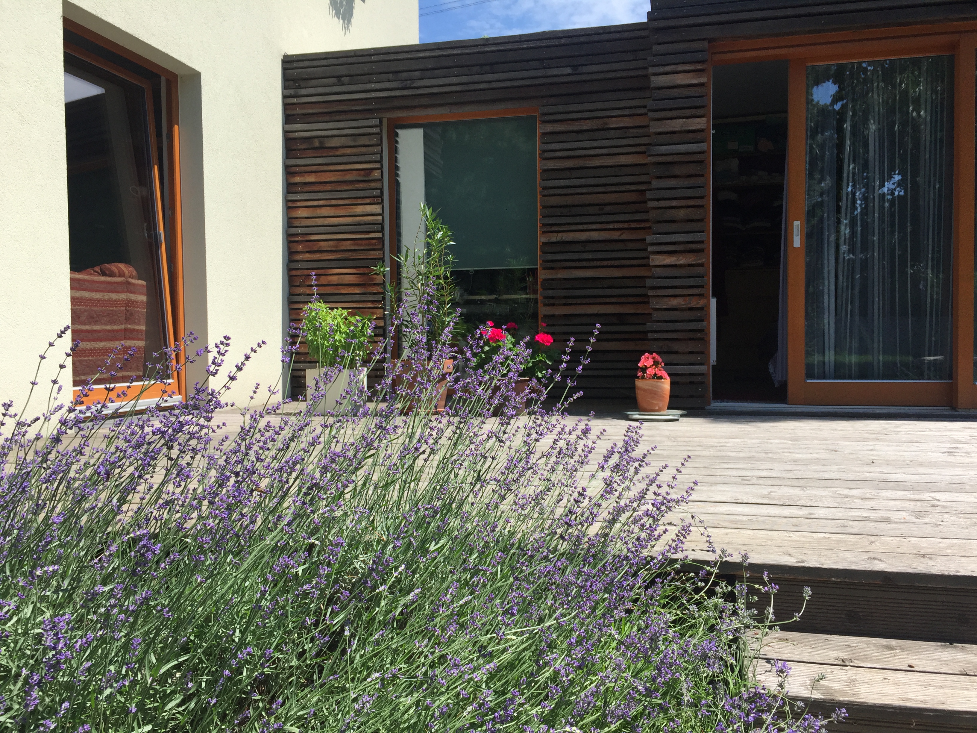 Anglické překlady Mgr. Lenka Fořtová foto 1