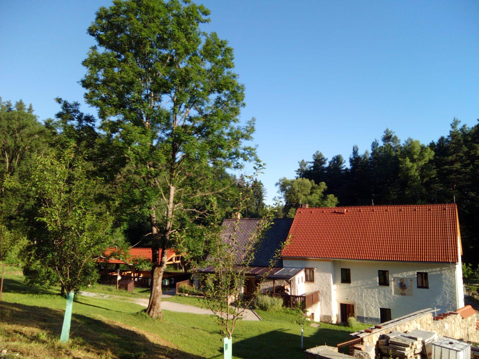 Penzion Mlýn u Dubu foto 4