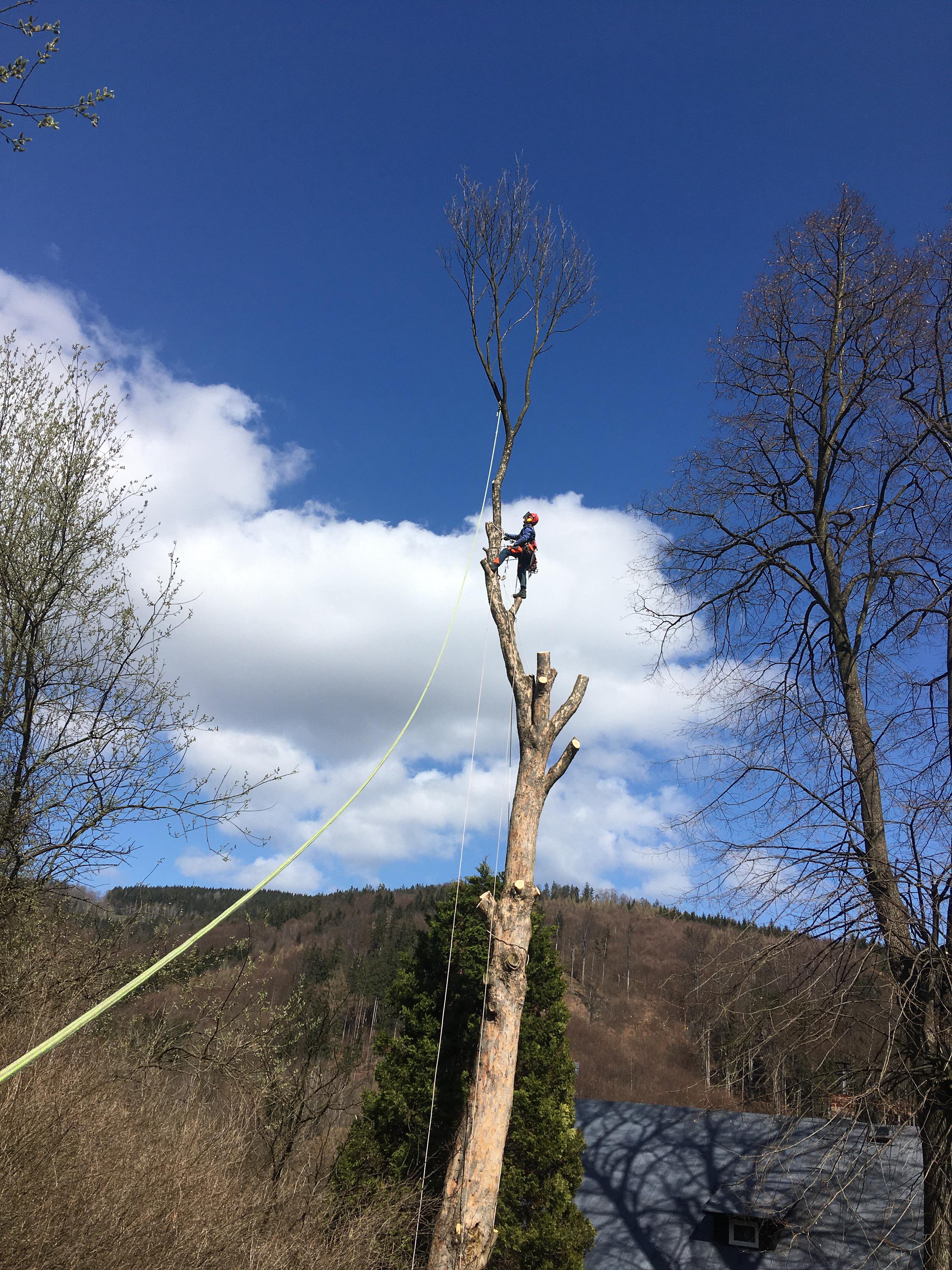 BERAN - Rizikové kácení stromů, údržba zeleně a výškové práce foto 6