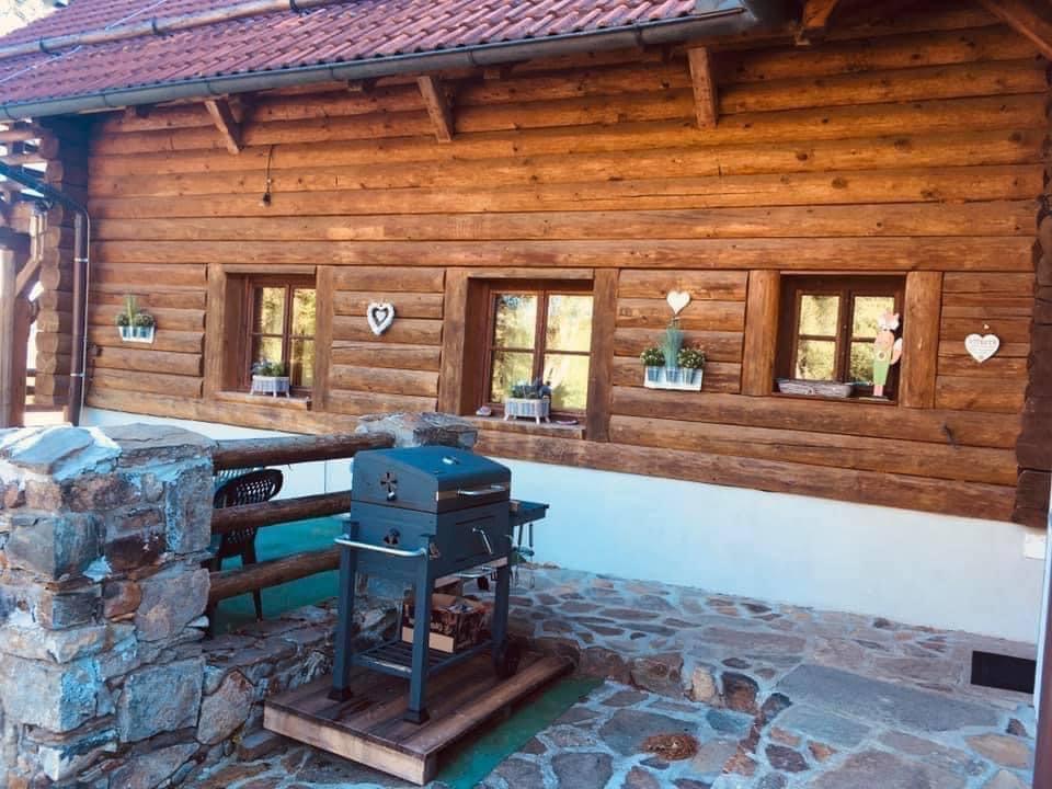 Penzion ve Srubu Jenišov foto 4