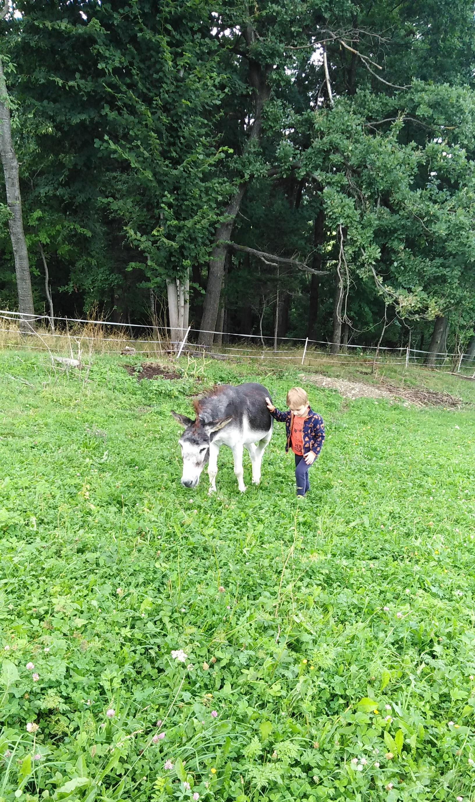 Horečky ranč foto 5