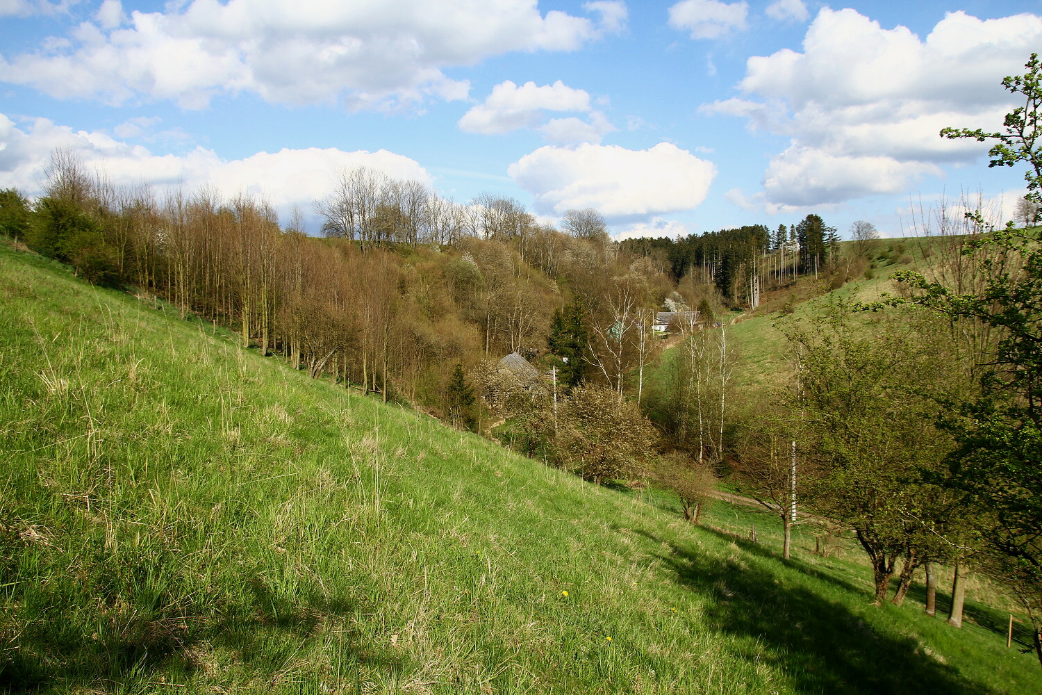 Jurta Kojovec - Glamping foto 6