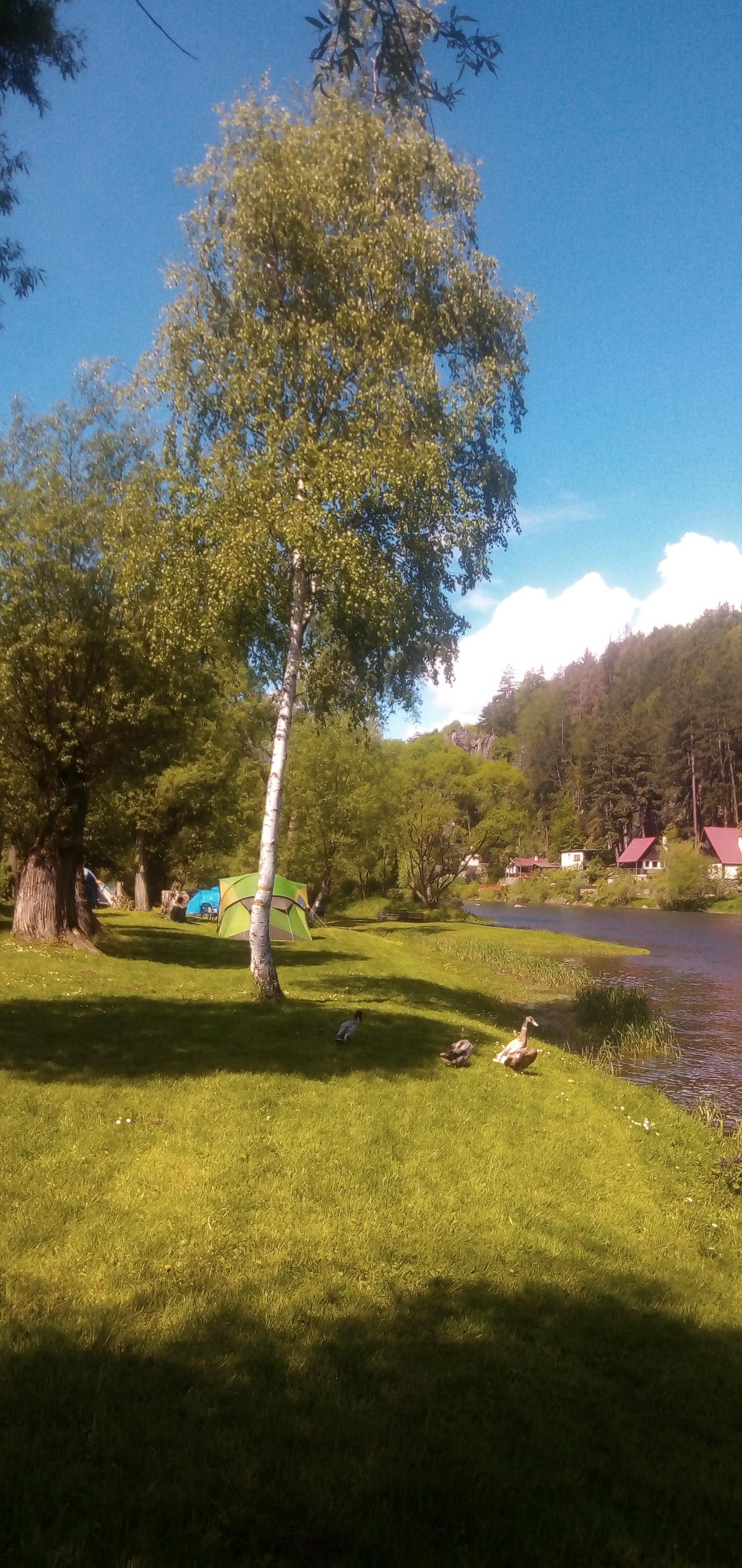 Tábořiště U Včelky foto 5