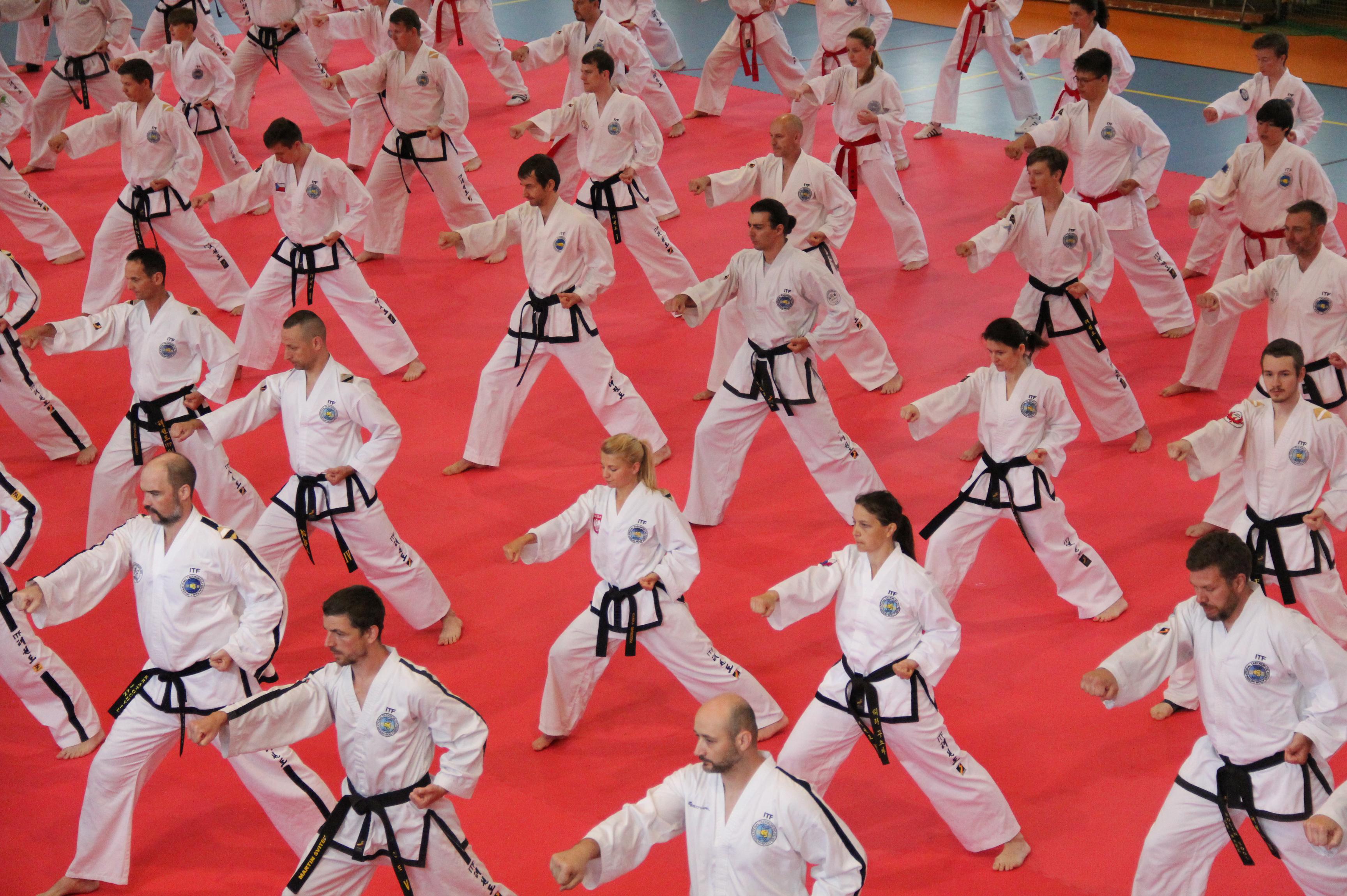 Český svaz Taekwon-Do ITF, z. s.