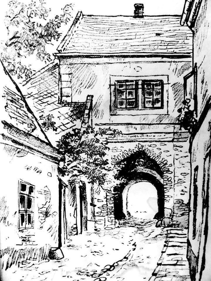 L´Oréal salon expert - Kadeřnictví Nad Bránou Jitka Hlochová foto 2