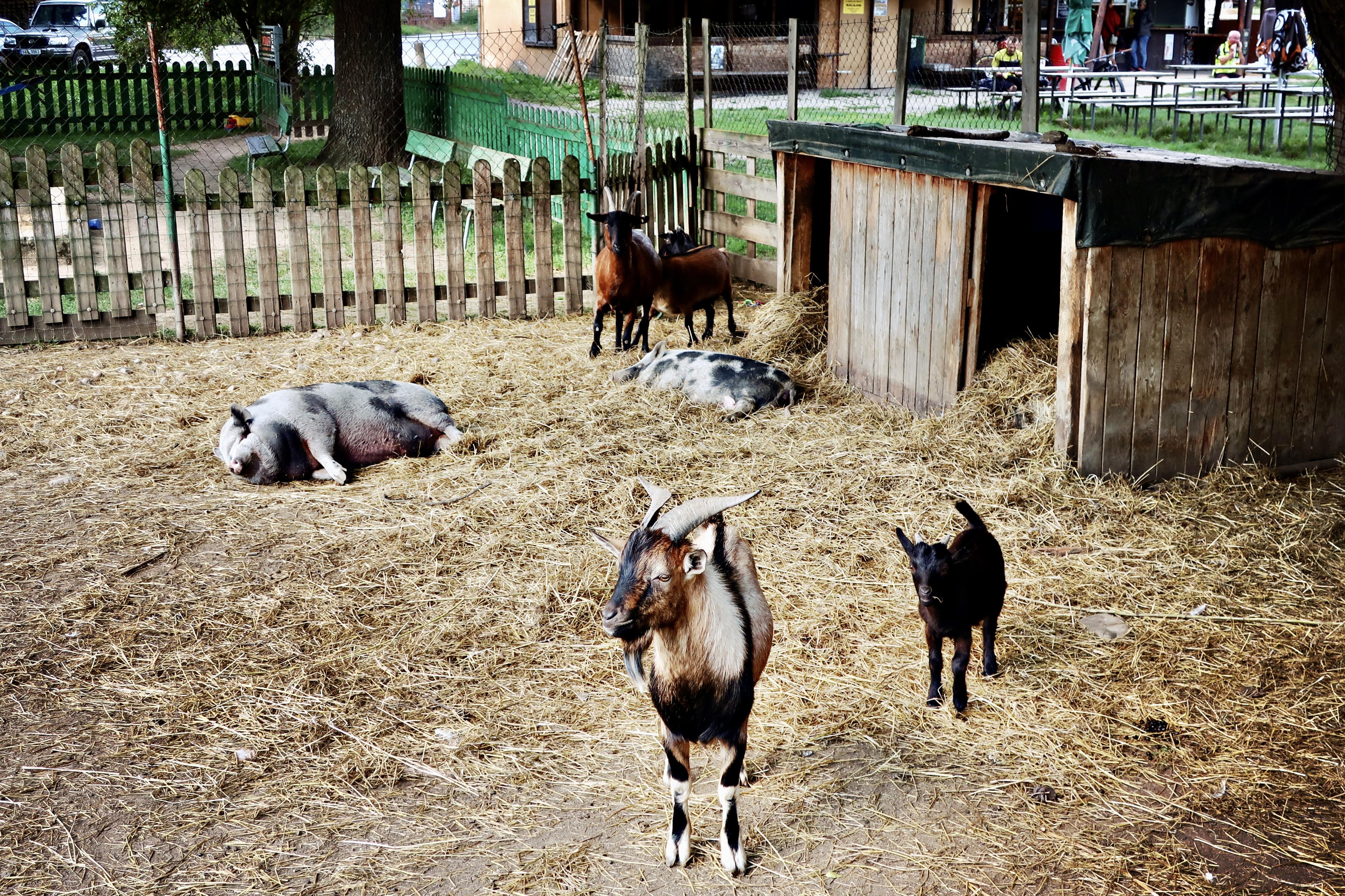 Kiosek Říční lázně foto 2