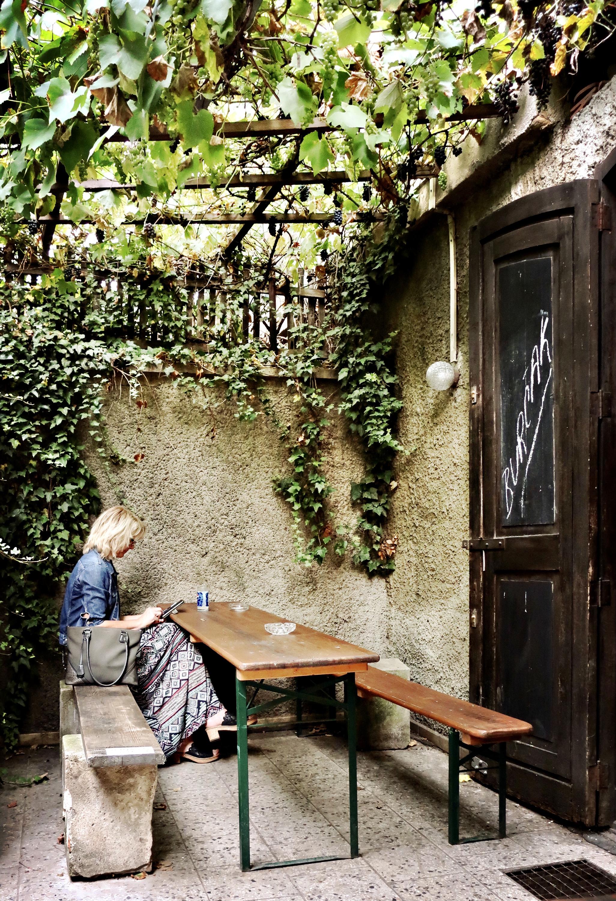 Vinárna U Věstonického Venouše foto 4