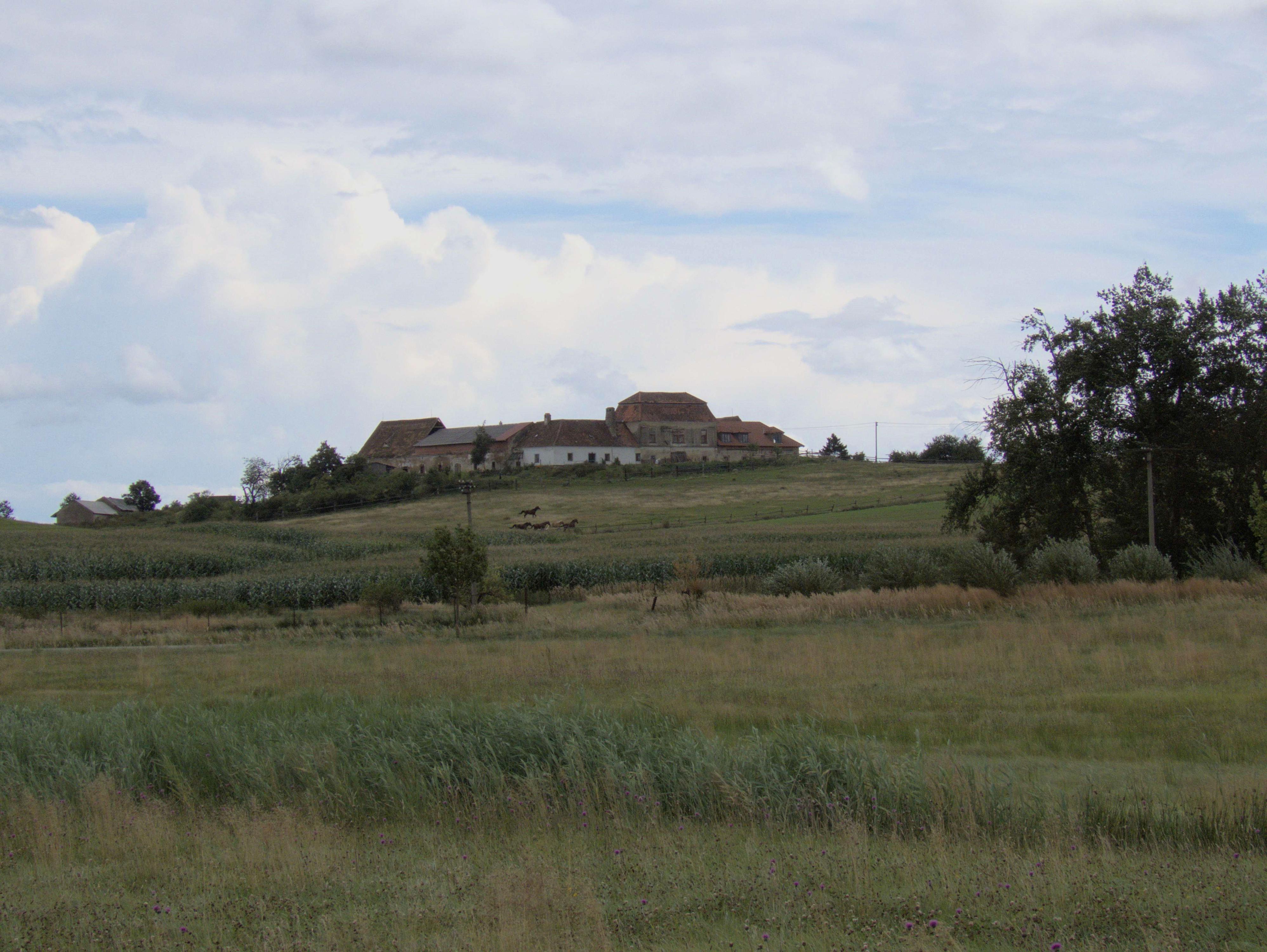 Pavlický dvůr foto 5