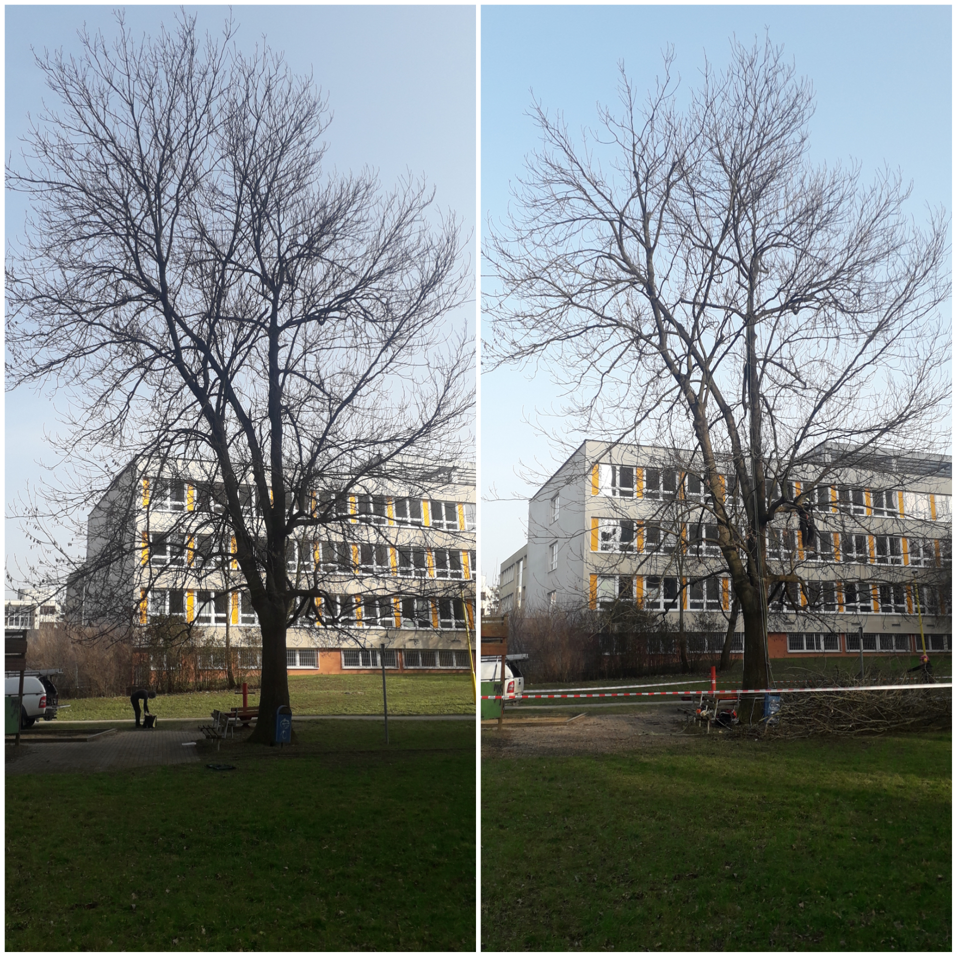 Stromolezec-zlin.cz foto 5