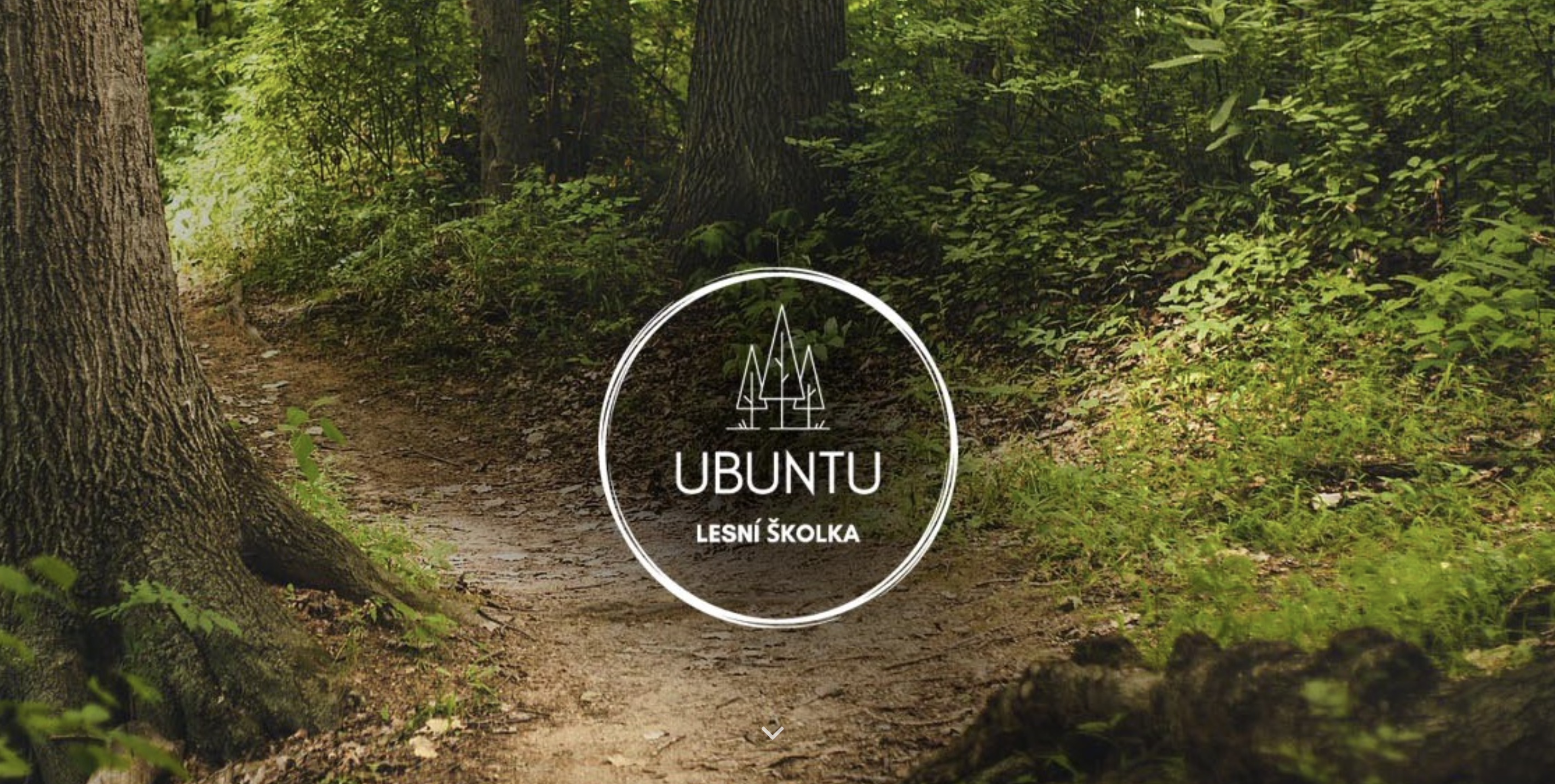 Lesní školka Ubuntu foto 3
