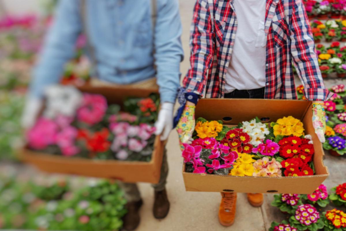 Zahradní centrum Tábor